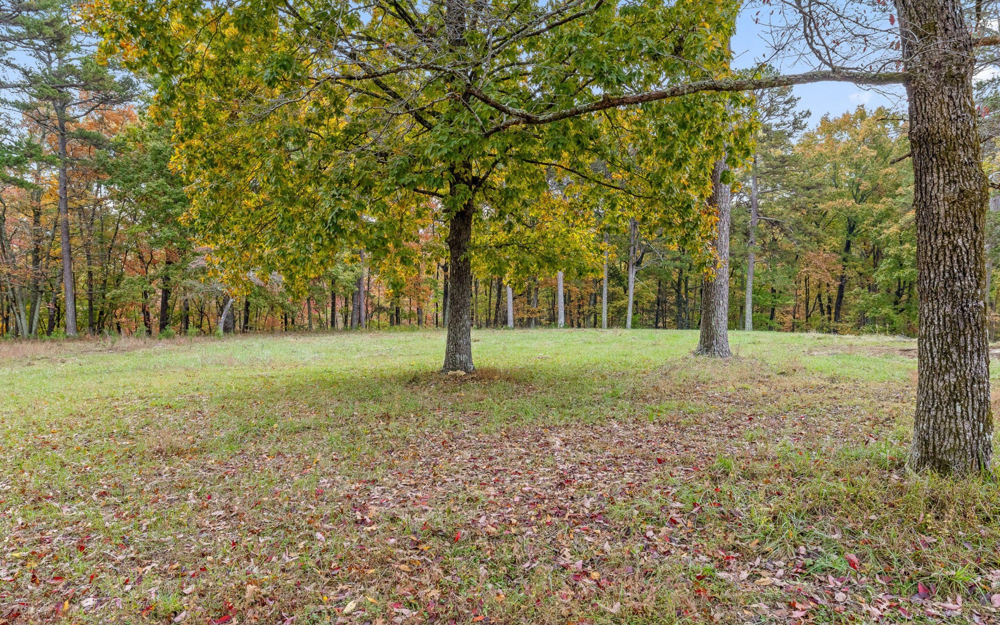 1812 Sawyer Farms Lane Property Photo 5
