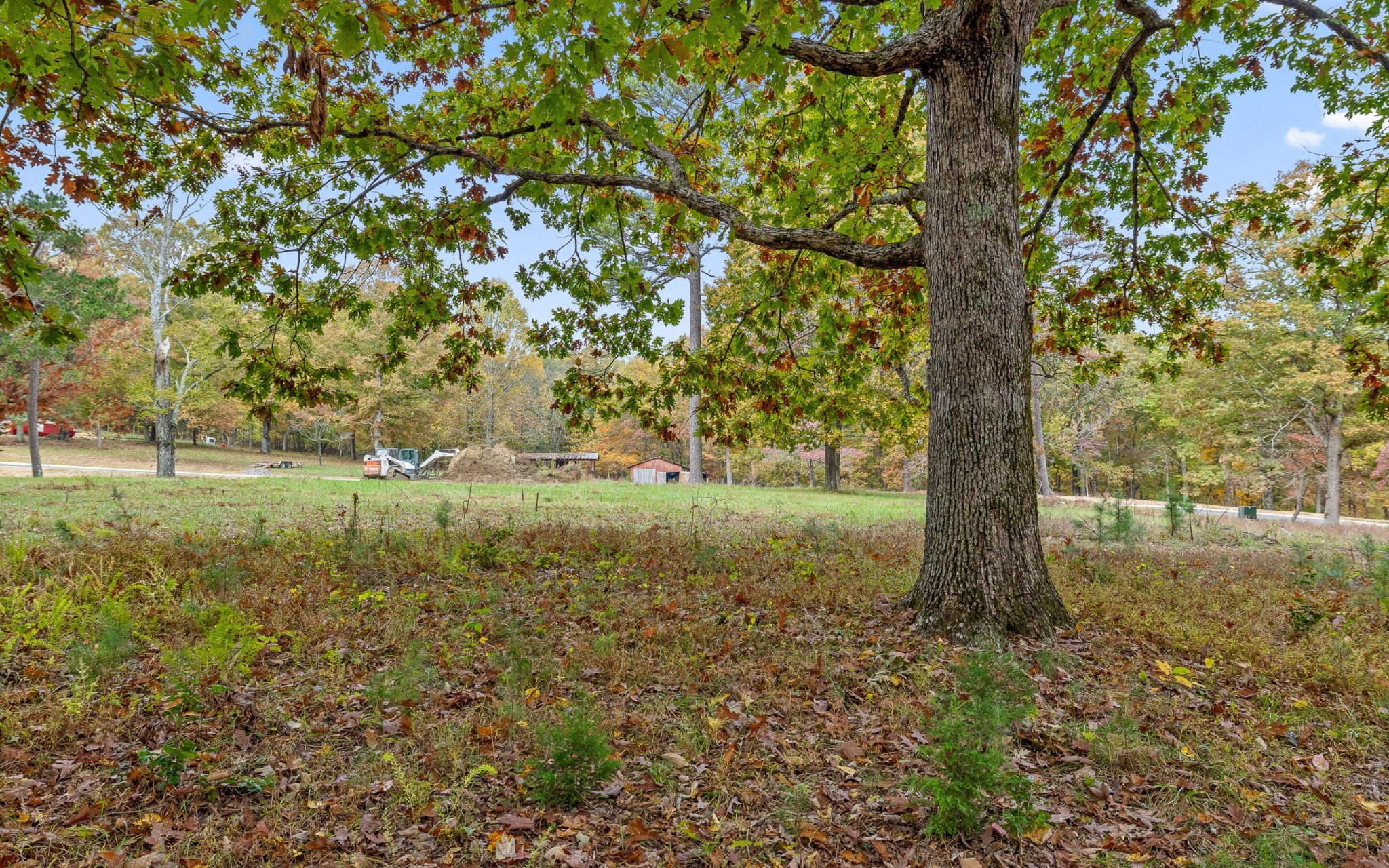 1812 Sawyer Farms Lane Property Photo 13
