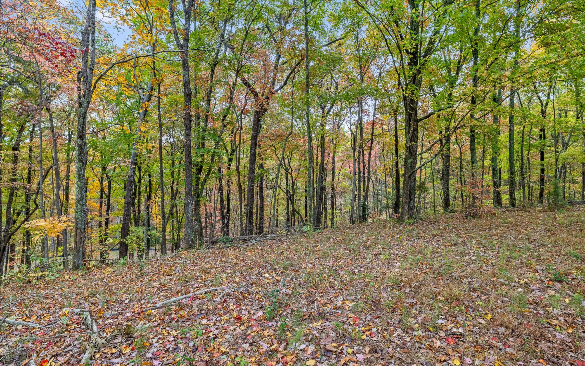 1812 Sawyer Farms Lane Property Photo 14