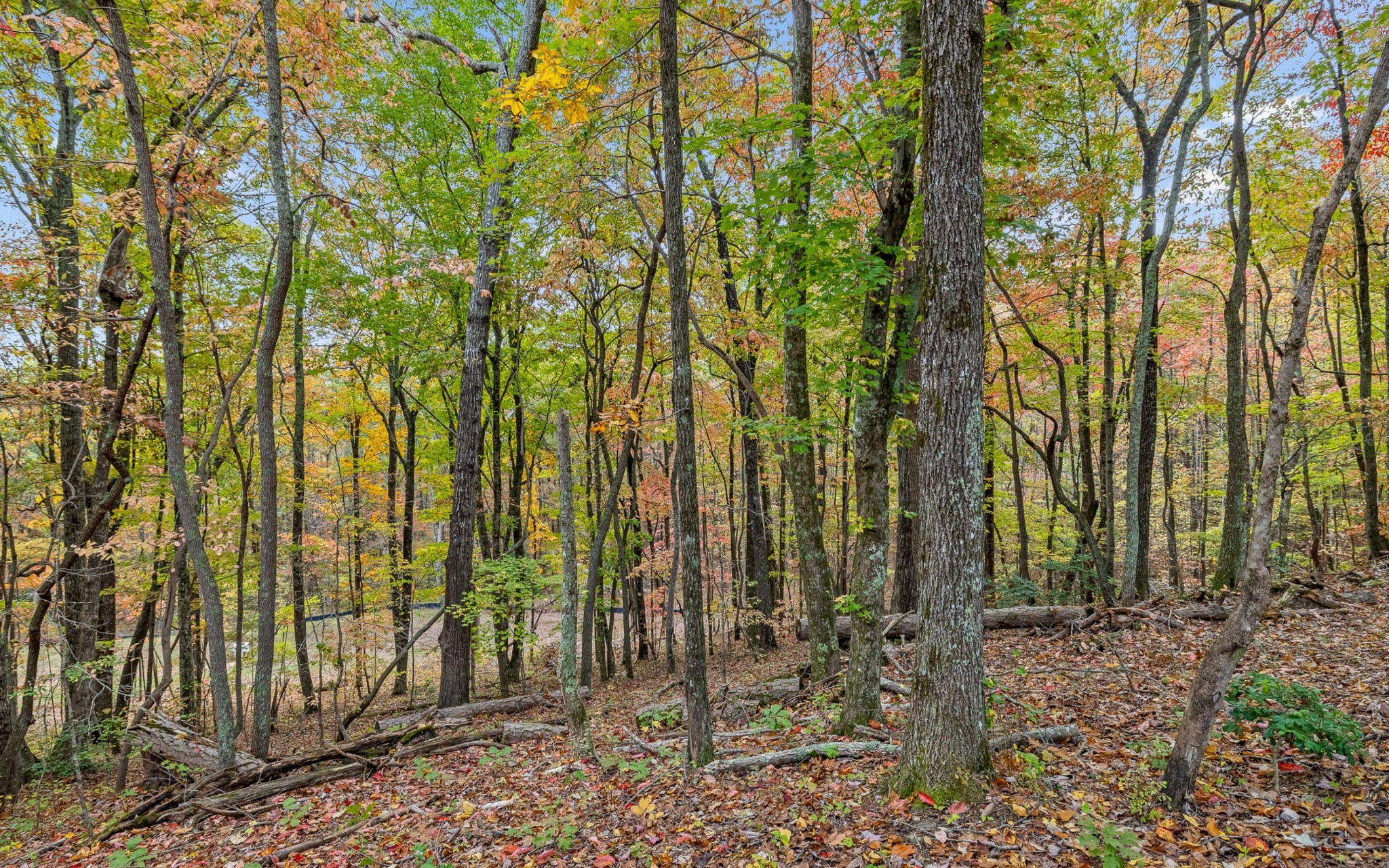 1812 Sawyer Farms Lane Property Photo 15