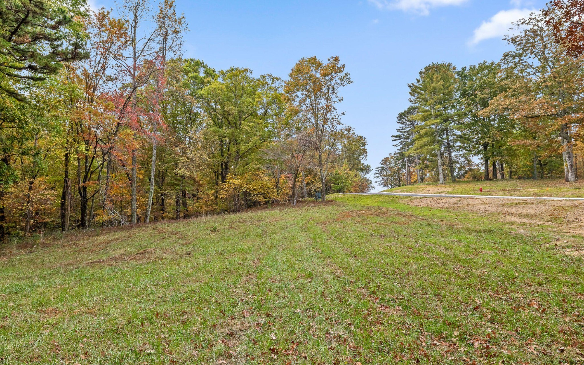 1820 Sawyer Farms Lane Property Photo 6