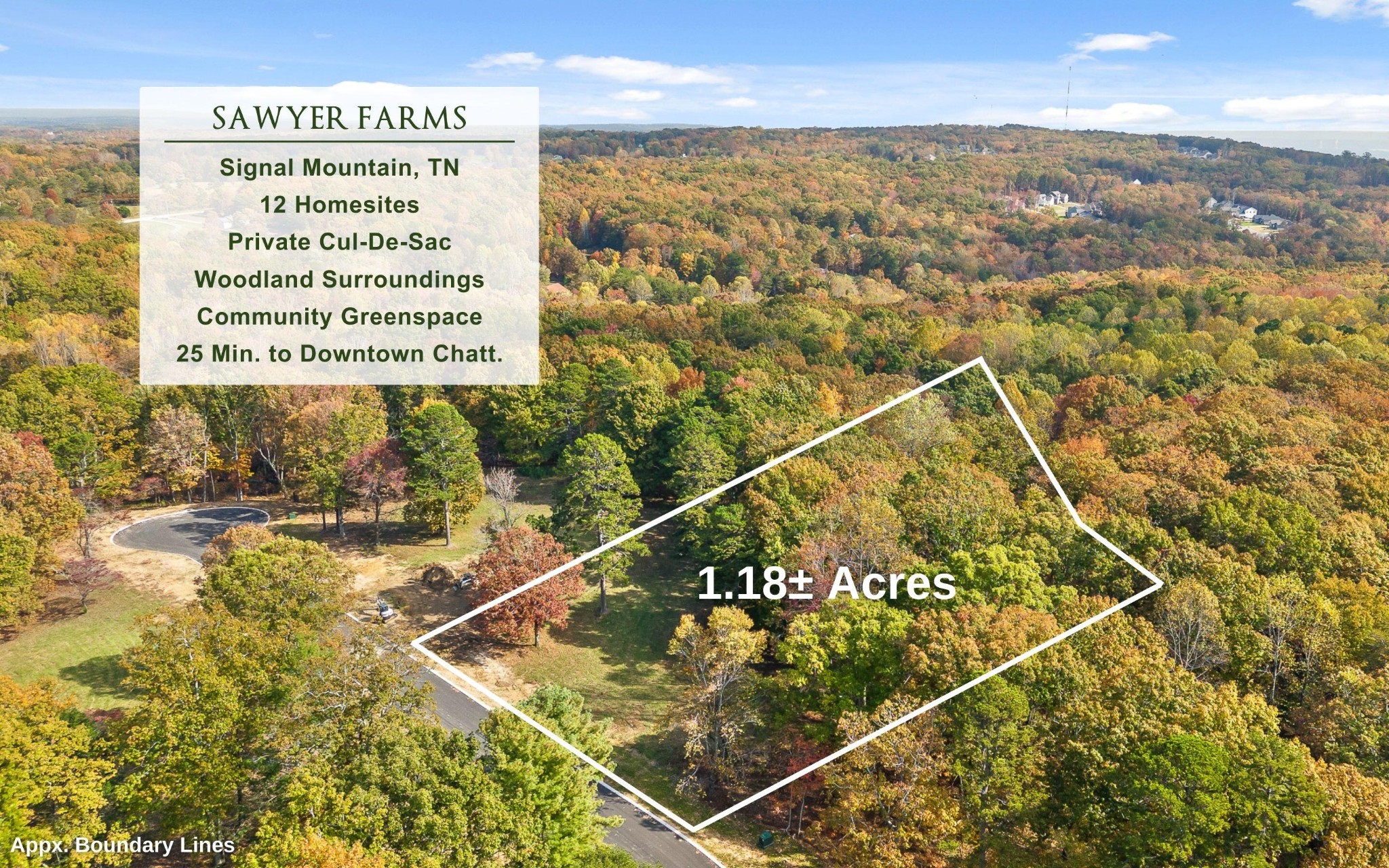 1820 Sawyer Farms Lane Property Photo 10