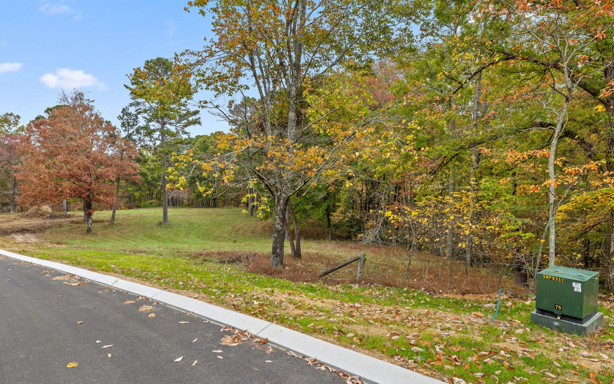 1820 Sawyer Farms Lane Property Photo 13