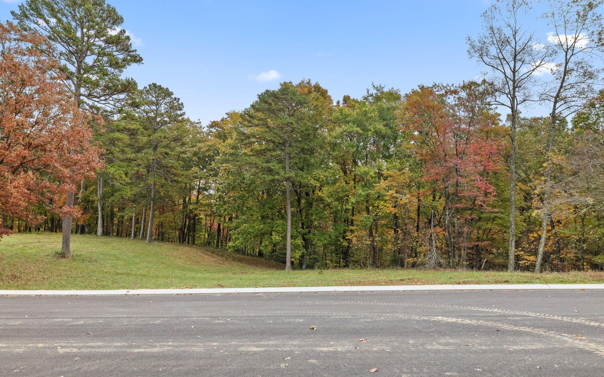 1820 Sawyer Farms Lane Property Photo 15