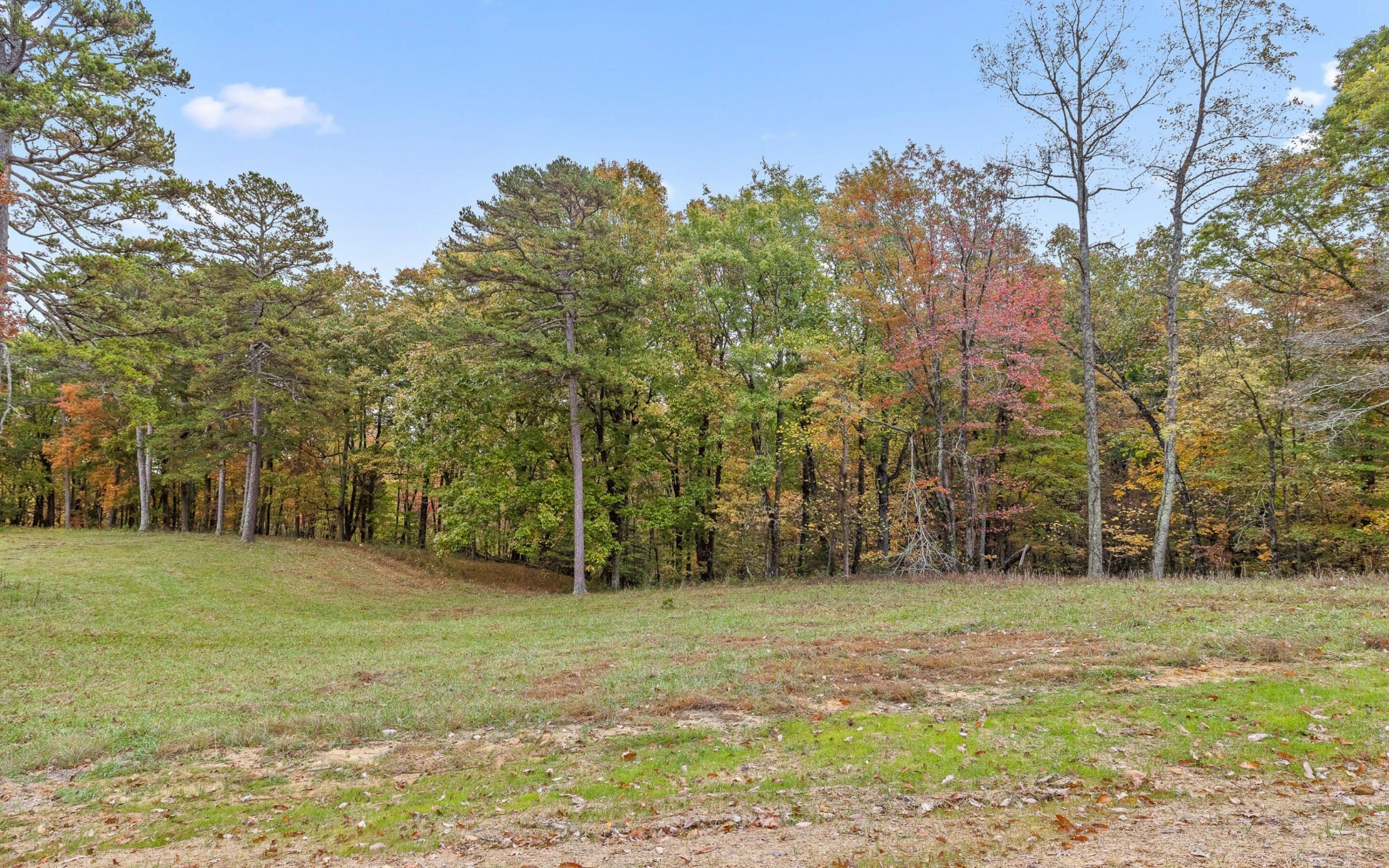 1820 Sawyer Farms Lane Property Photo 16