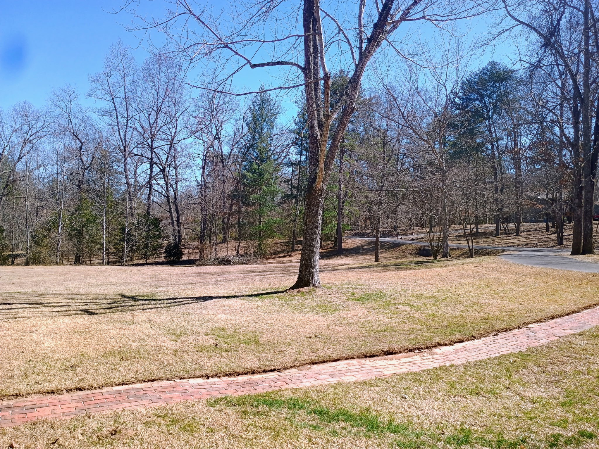 526 Margaret Cir Property Photo 58
