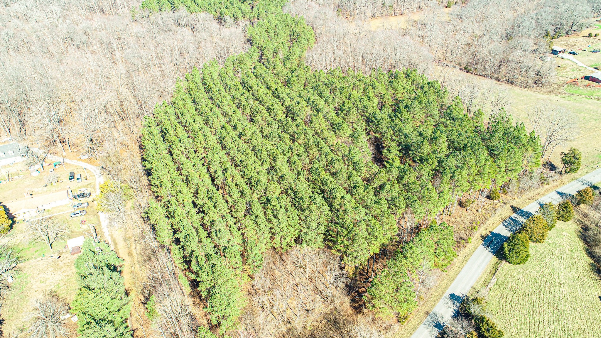 0 Pea Ridge Road Property Photo 4