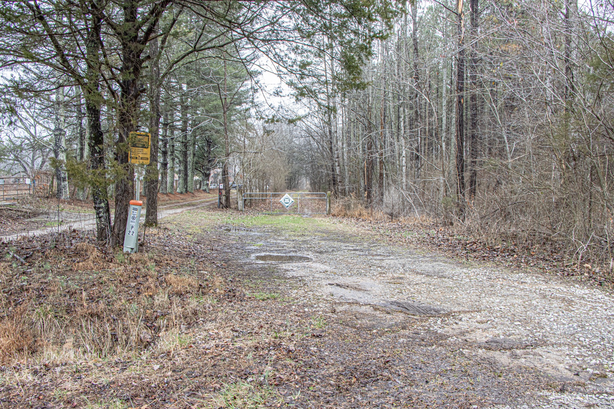 0 Pea Ridge Road Property Photo 6