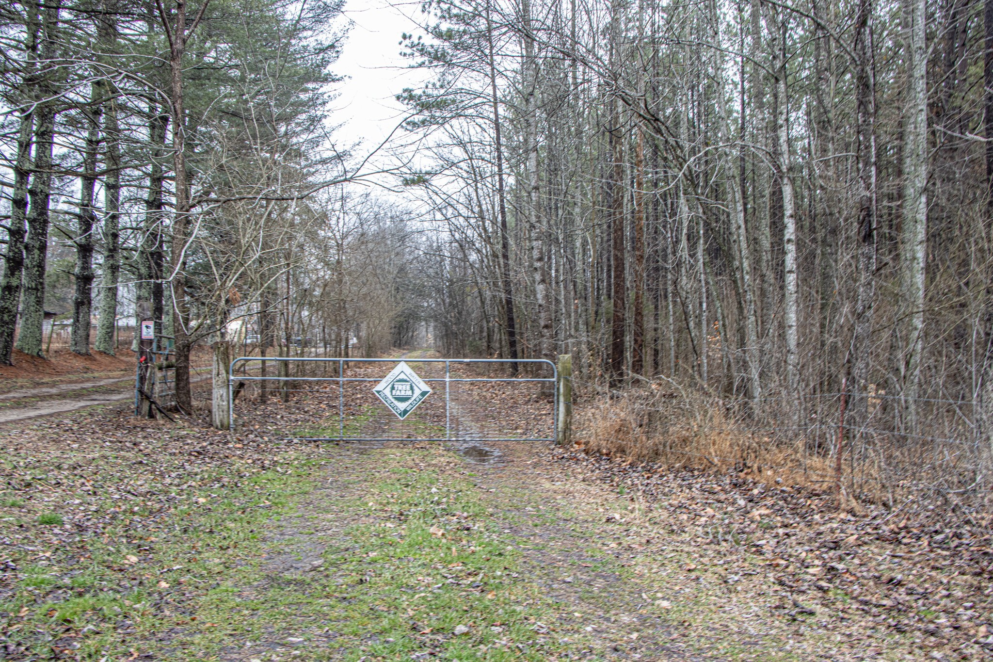 0 Pea Ridge Road Property Photo 7