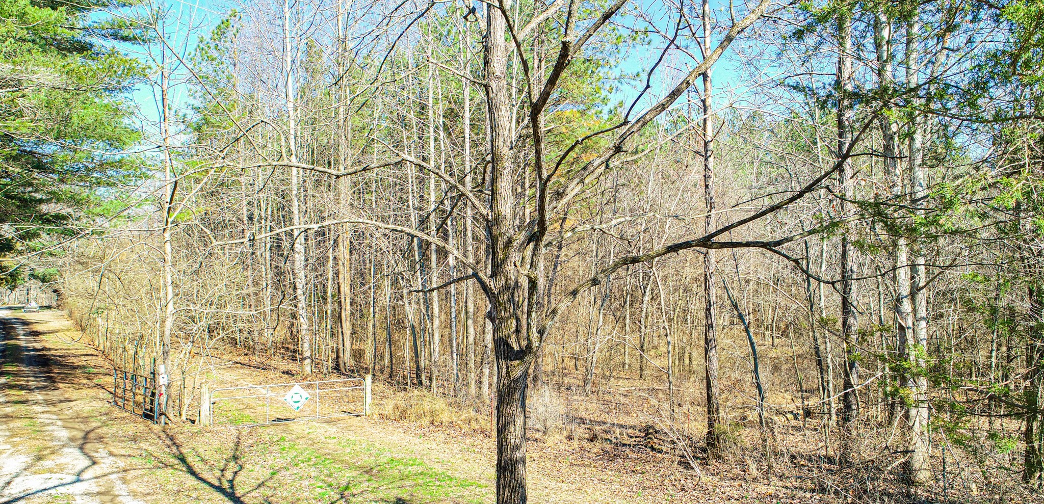 0 Pea Ridge Road Property Photo 8