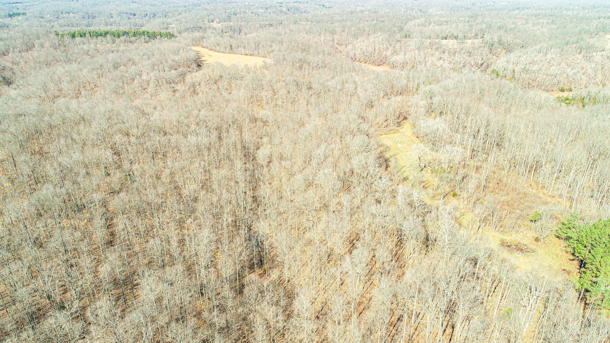 0 Pea Ridge Road Property Photo 9