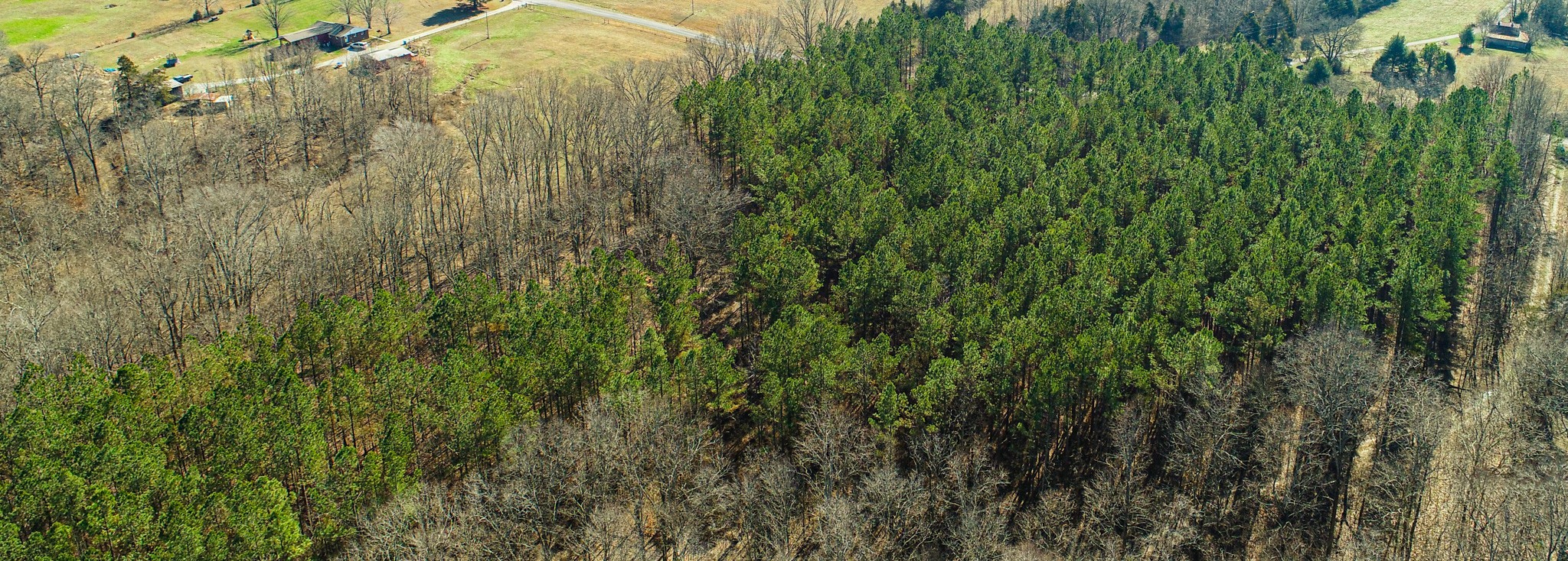 0 Pea Ridge Road Property Photo 10
