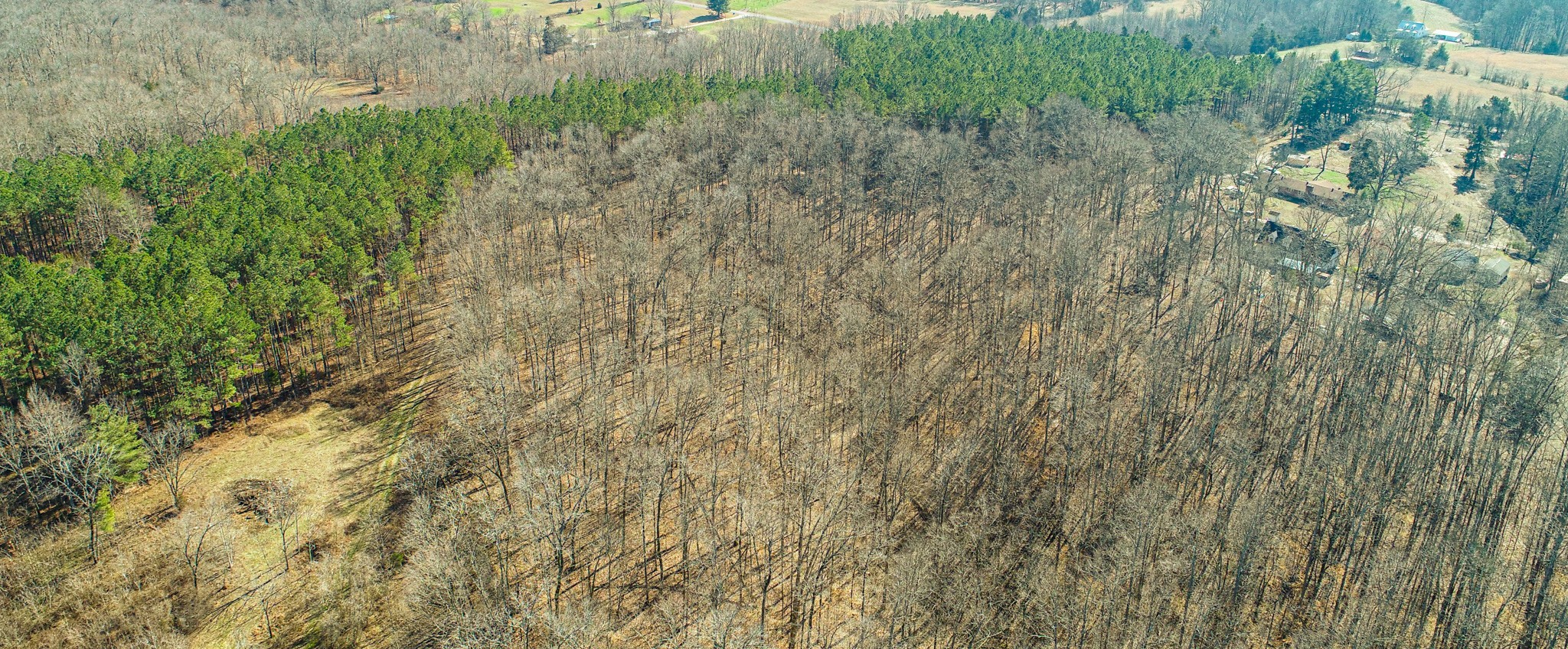 0 Pea Ridge Road Property Photo 11