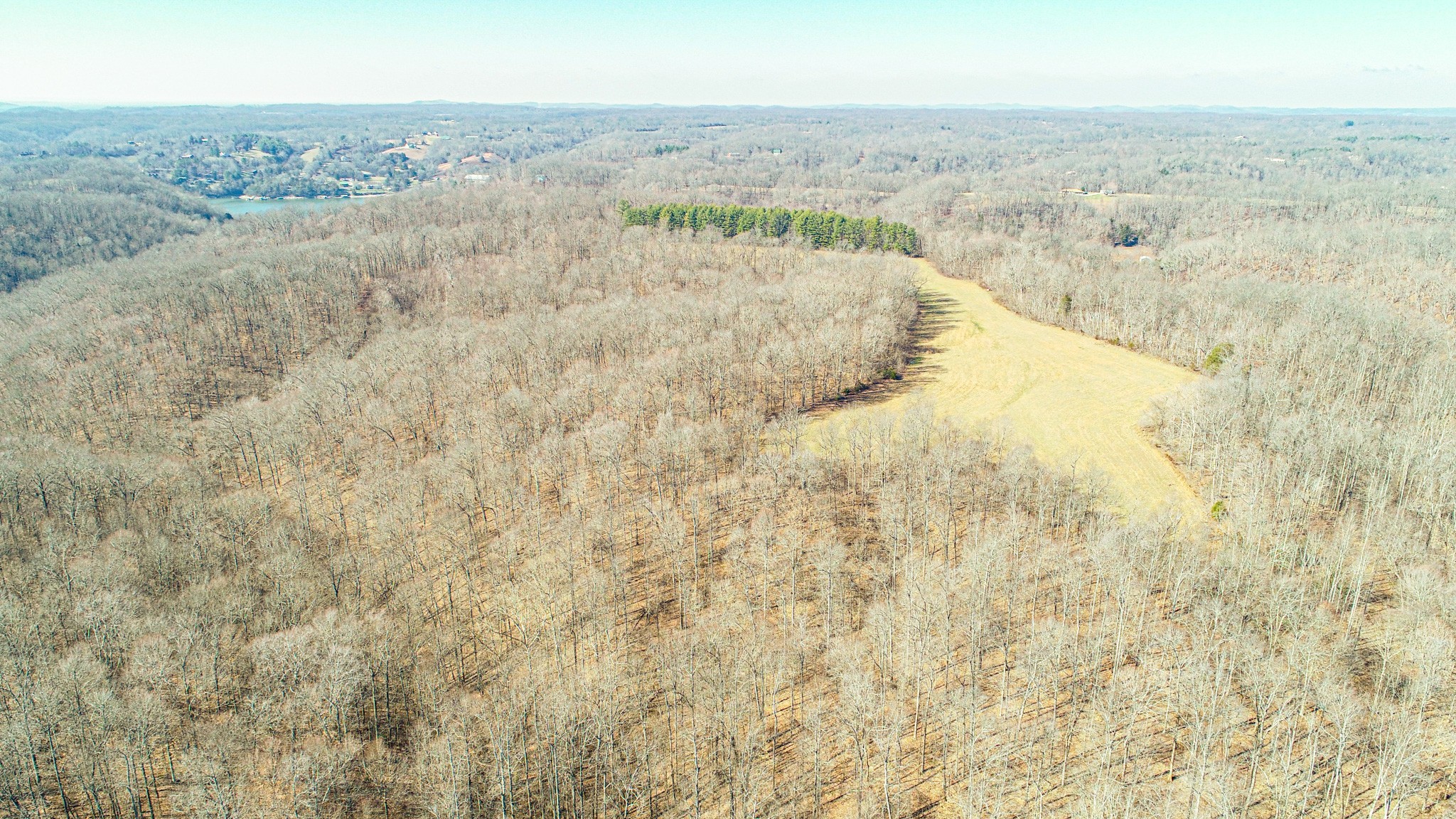 0 Pea Ridge Road Property Photo 12