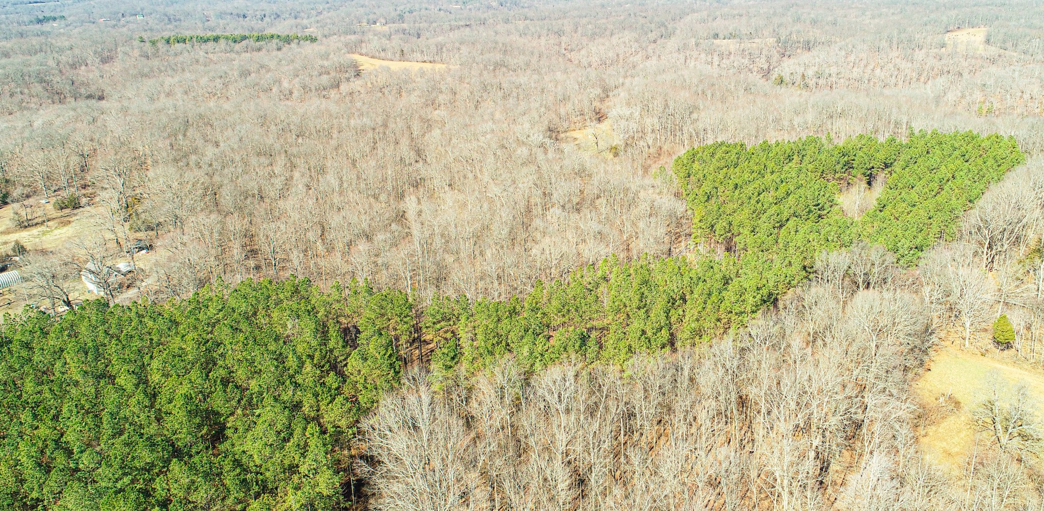 0 Pea Ridge Road Property Photo 15