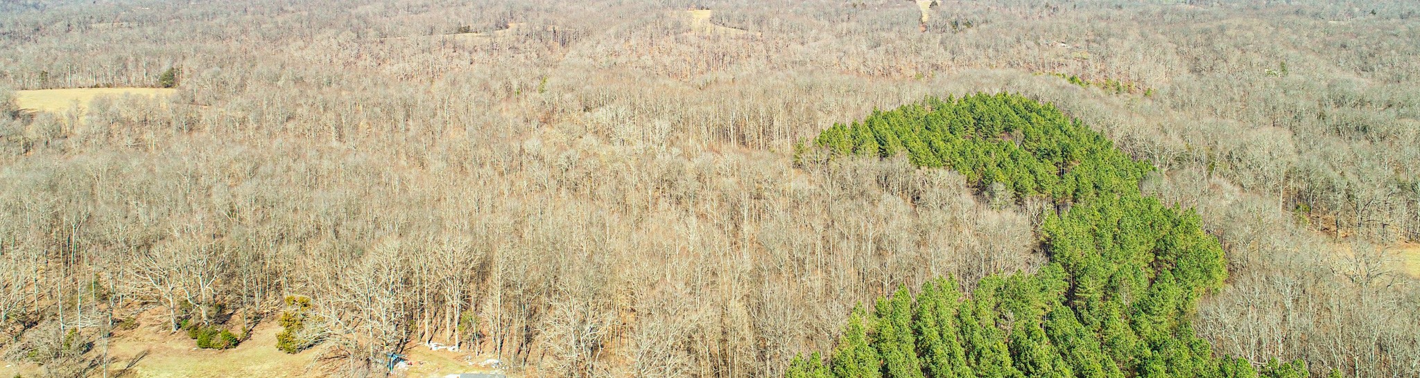 0 Pea Ridge Road Property Photo 18