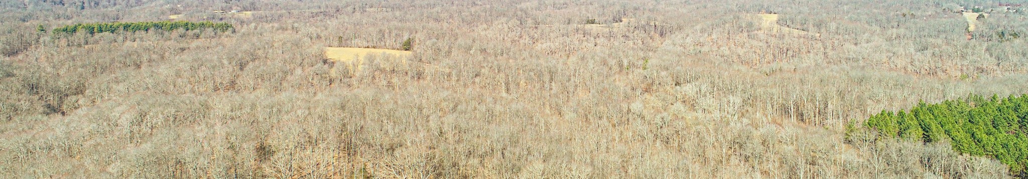 0 Pea Ridge Road Property Photo 19