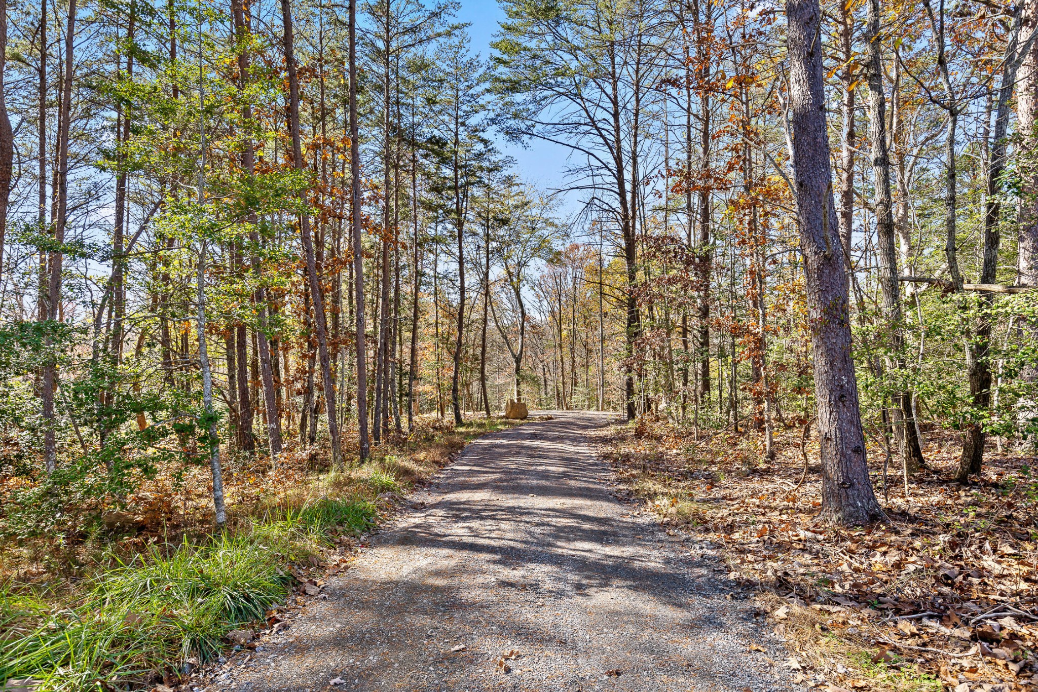 1813 Vandergriff Road Property Photo 3