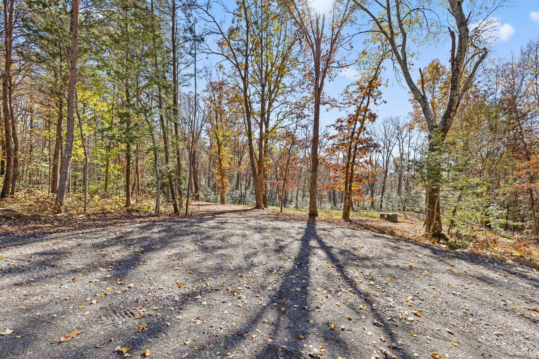 1813 Vandergriff Road Property Photo 4