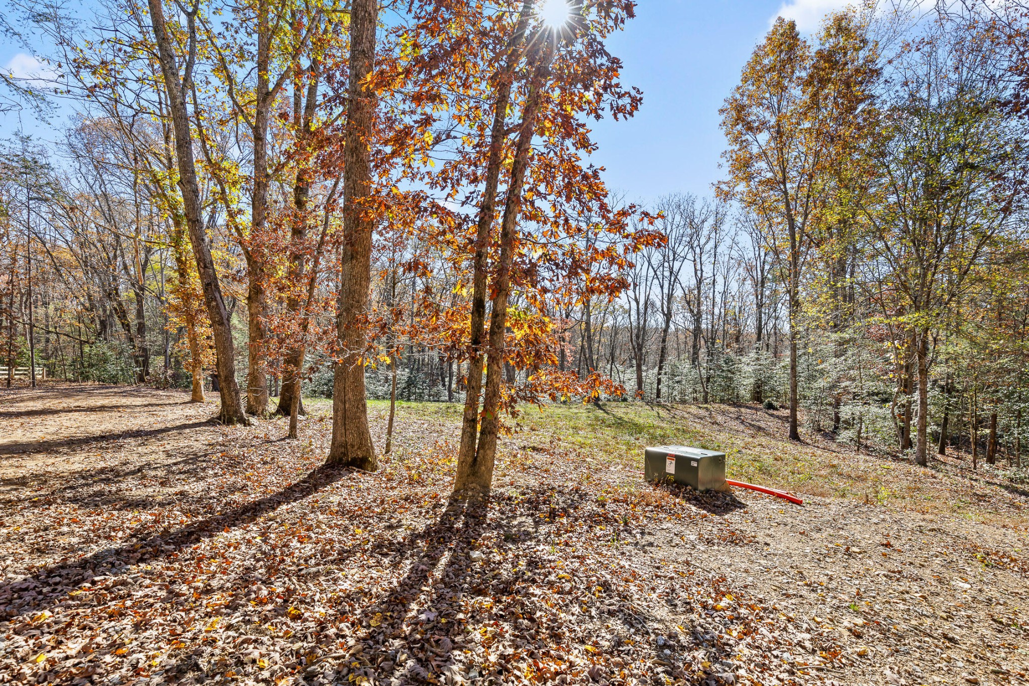 1813 Vandergriff Road Property Photo 6