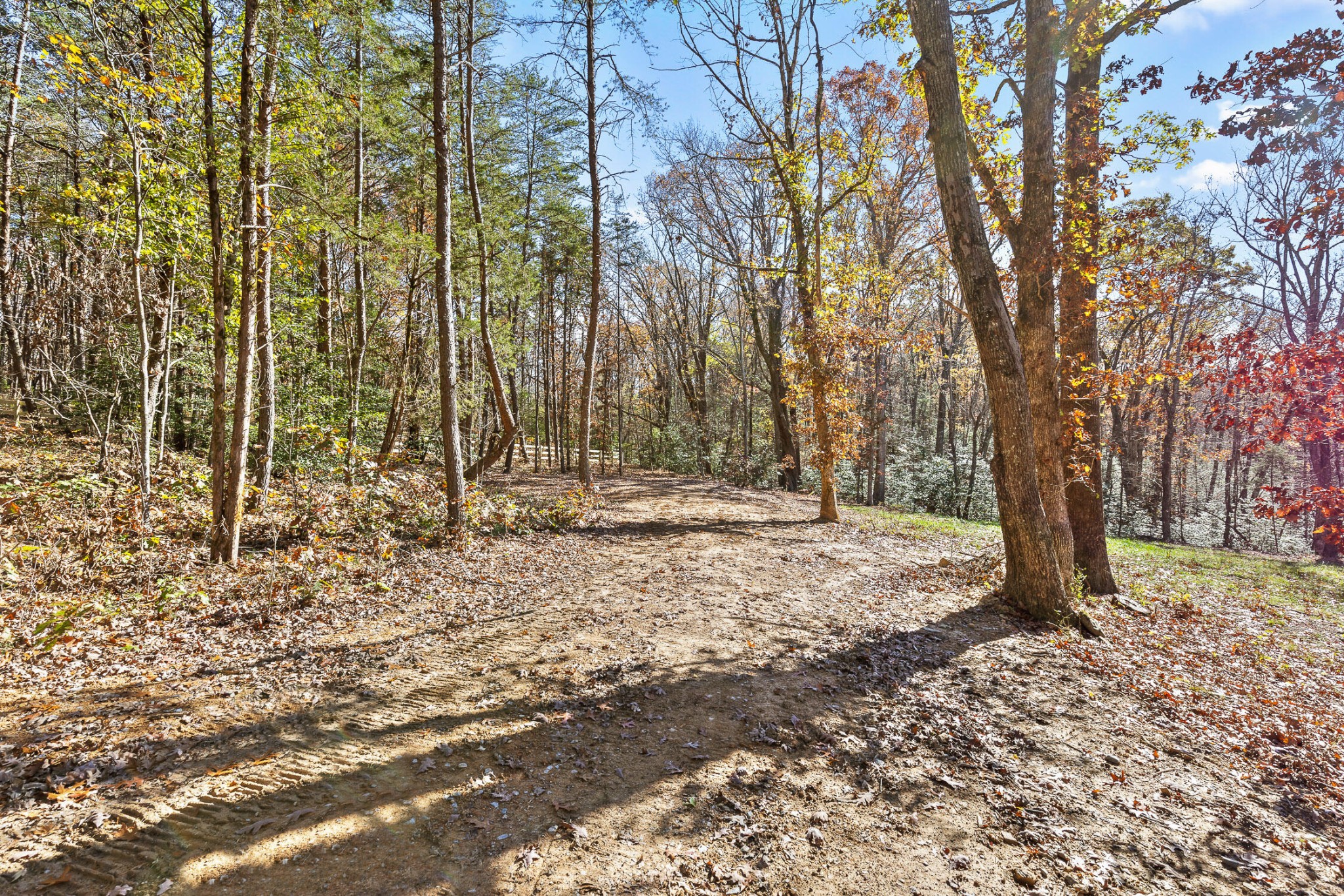 1813 Vandergriff Road Property Photo 7