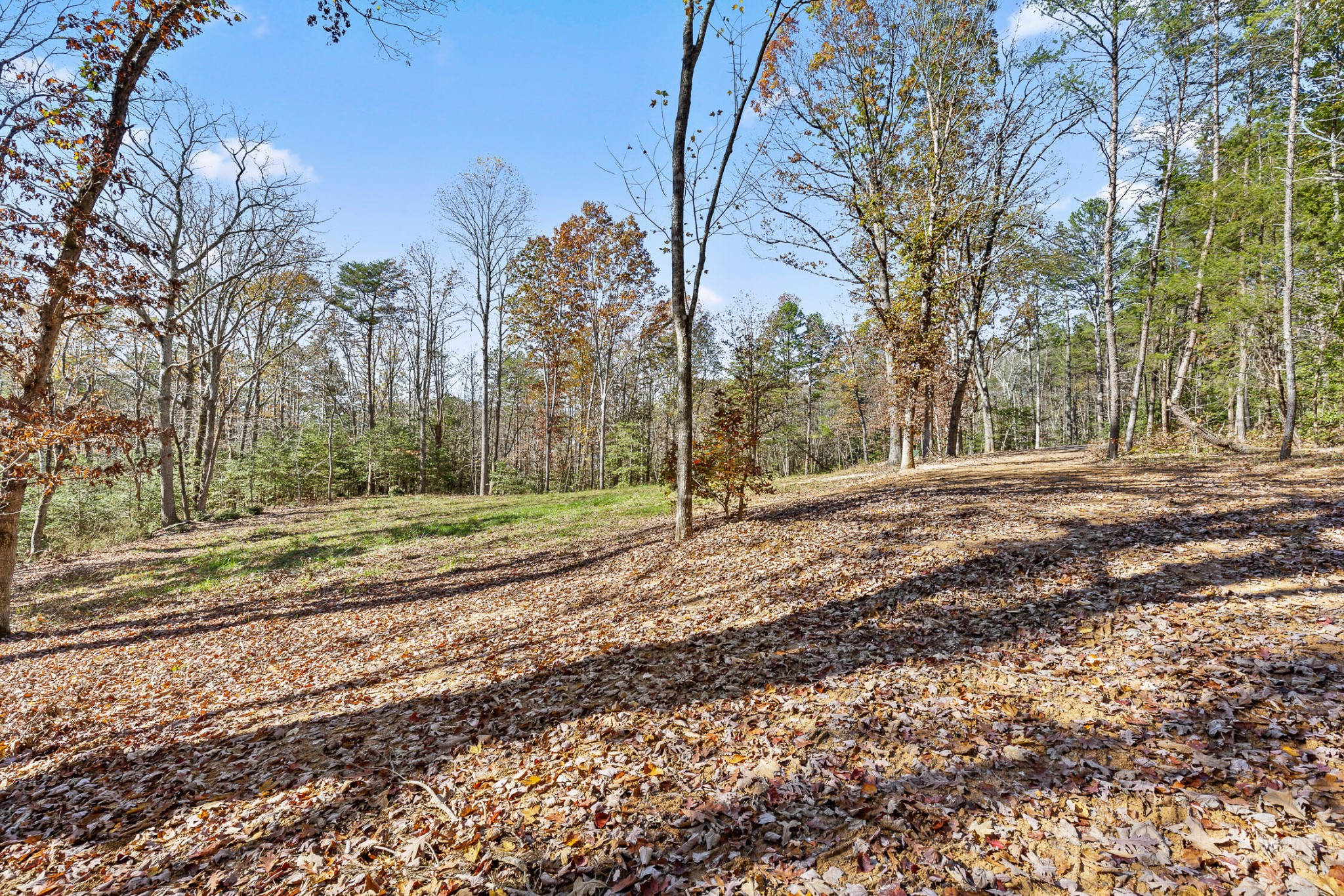 1813 Vandergriff Road Property Photo 9