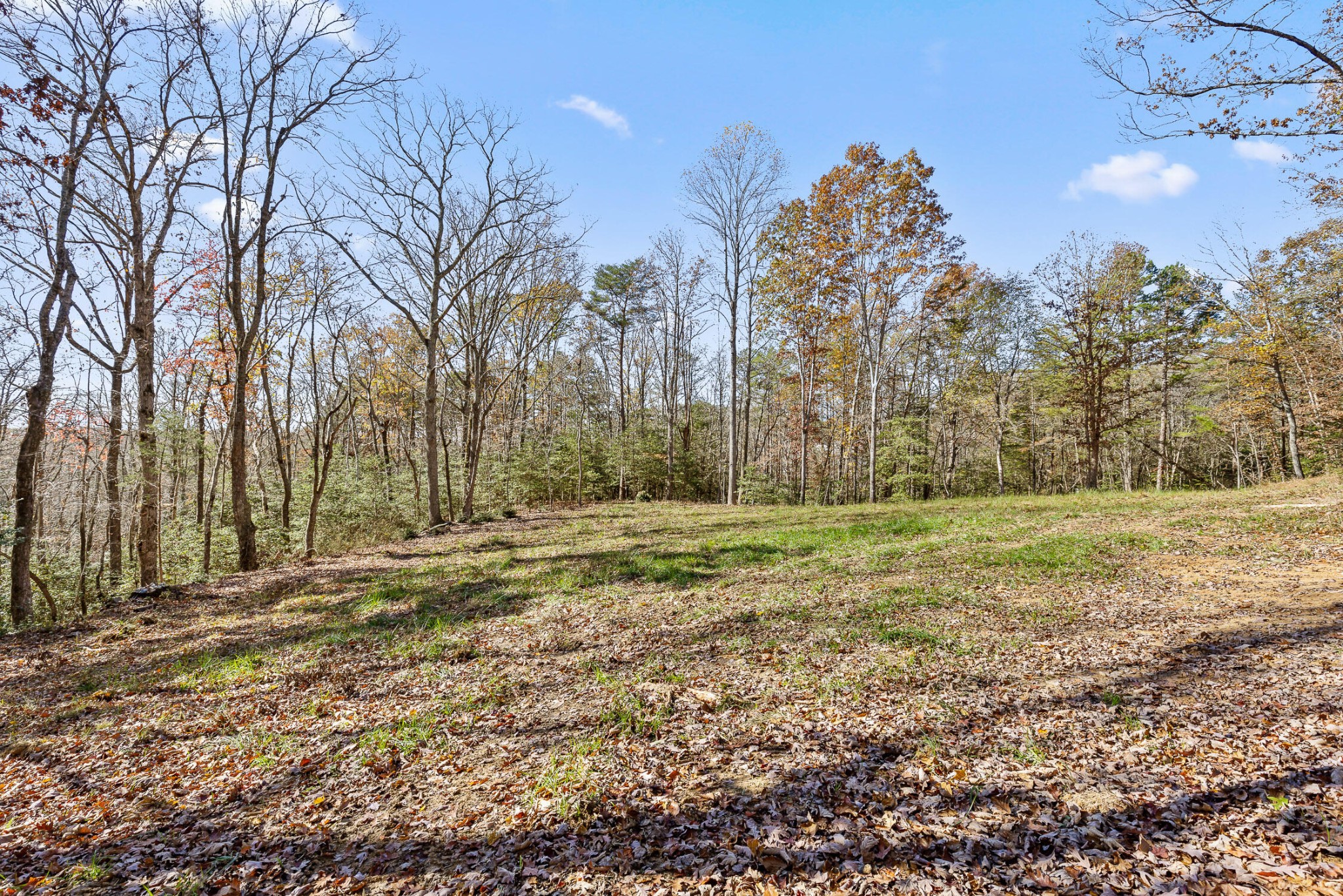 1813 Vandergriff Road Property Photo 10