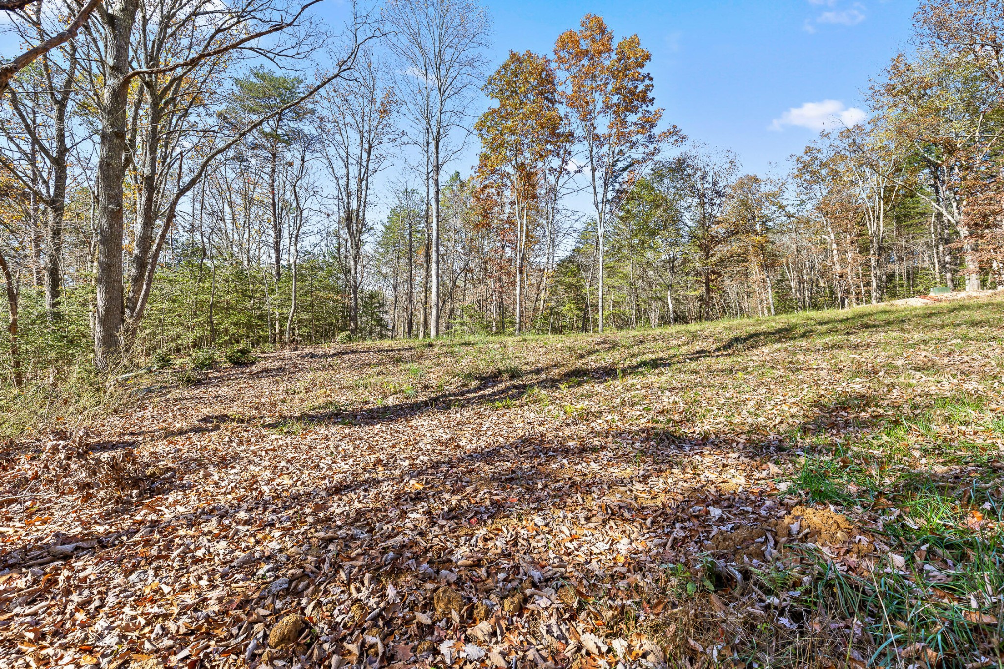 1813 Vandergriff Road Property Photo 11
