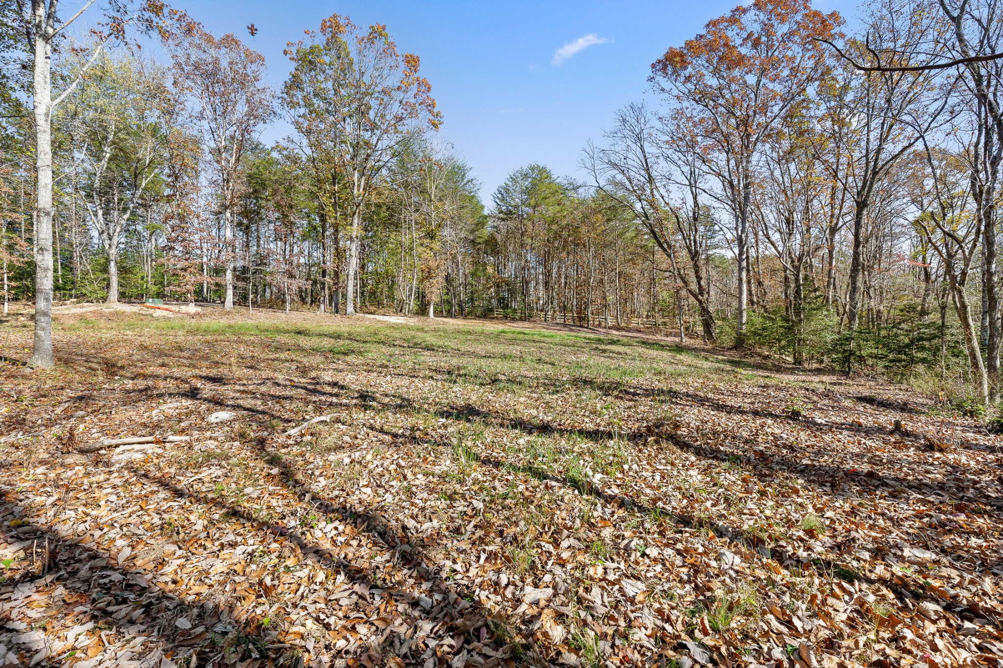 1813 Vandergriff Road Property Photo 12