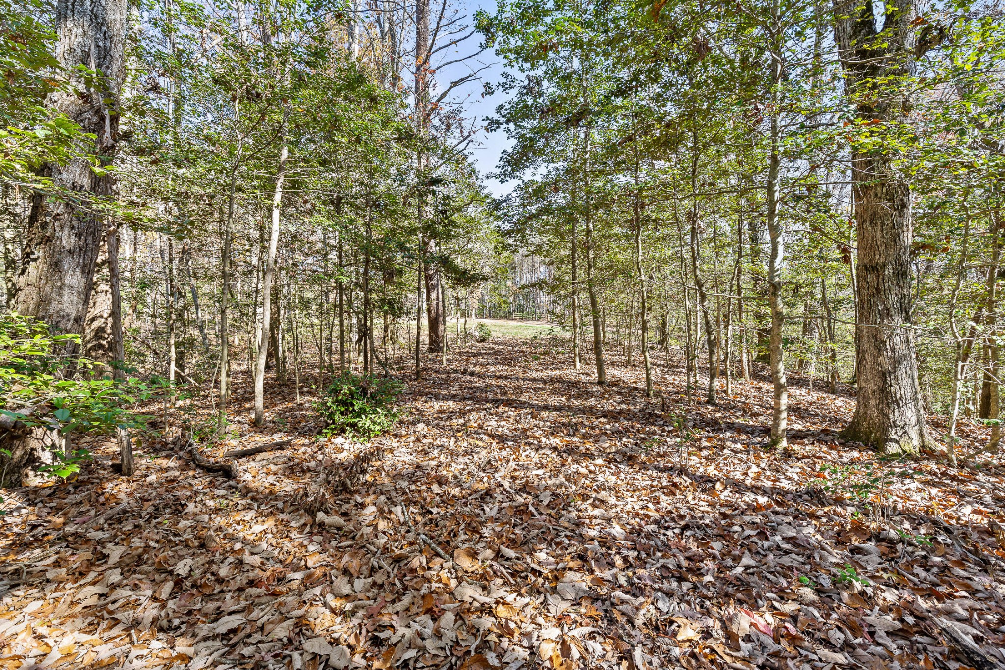 1813 Vandergriff Road Property Photo 17