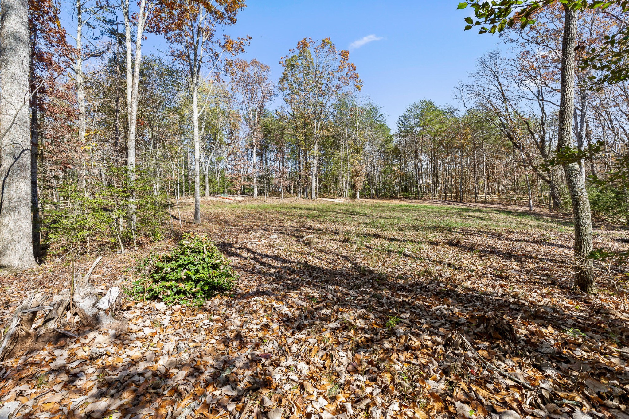 1813 Vandergriff Road Property Photo 18