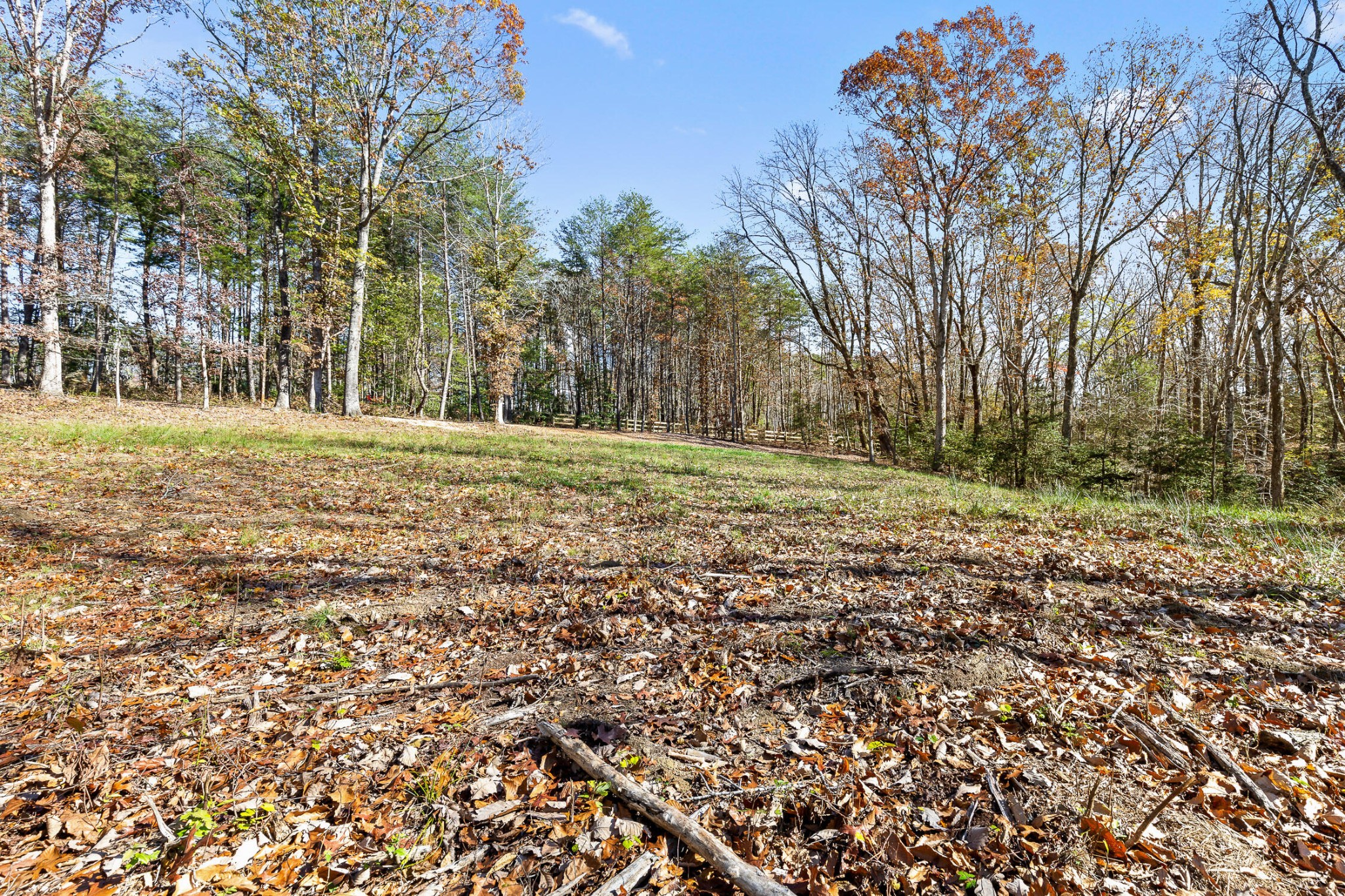 1813 Vandergriff Road Property Photo 19