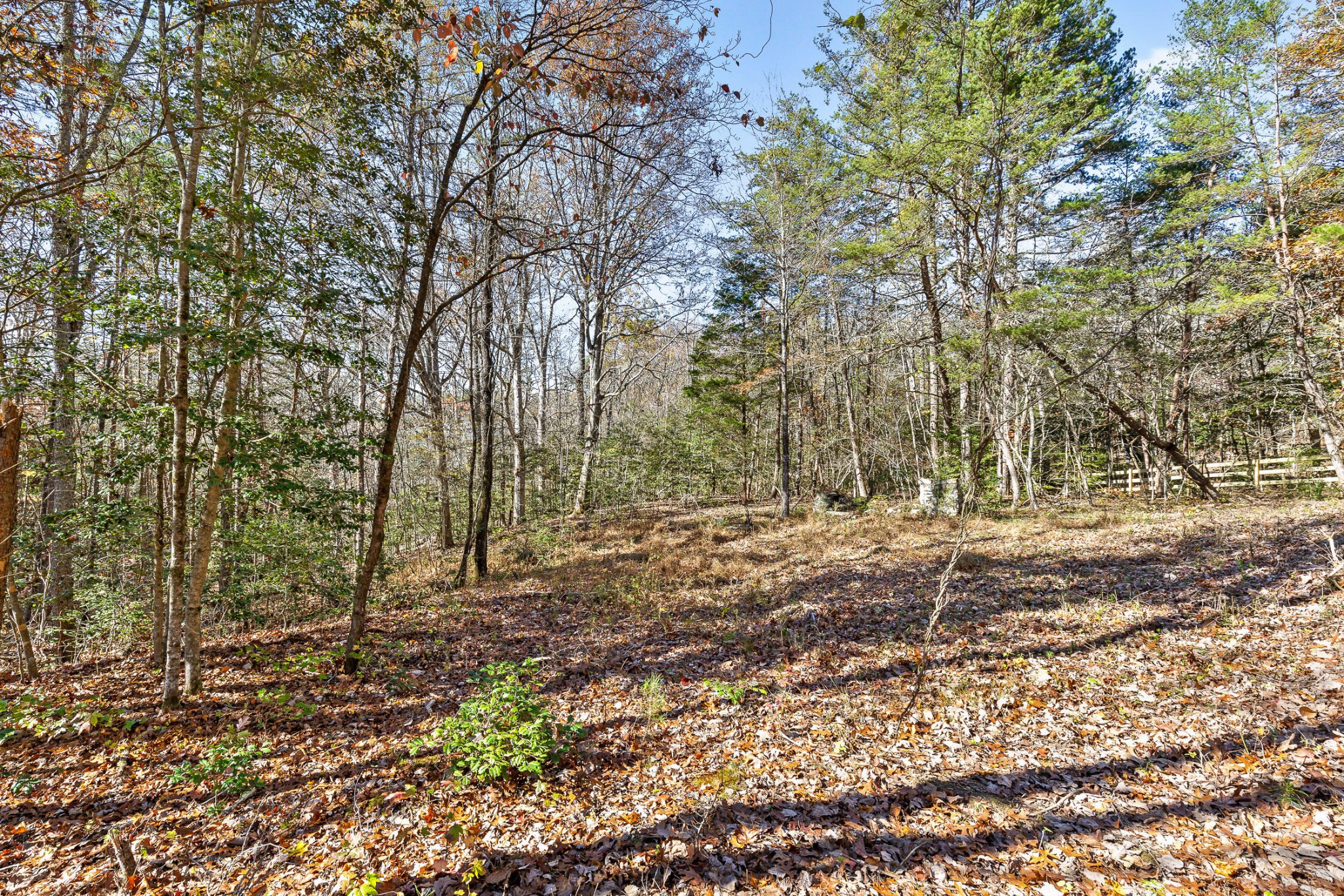 1813 Vandergriff Road Property Photo 20