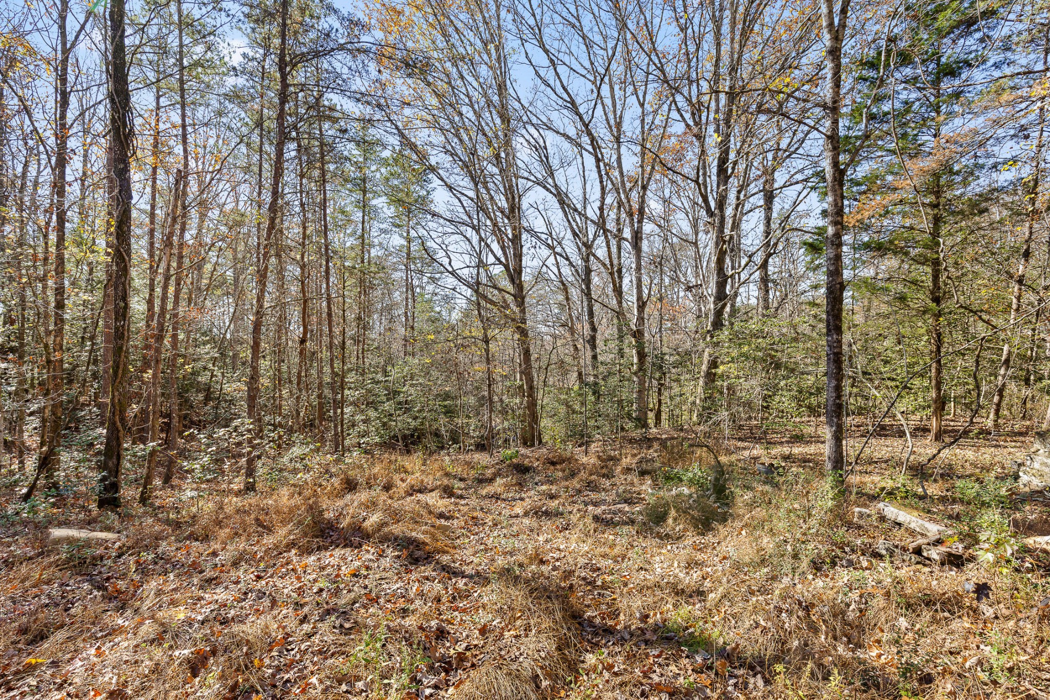 1813 Vandergriff Road Property Photo 21
