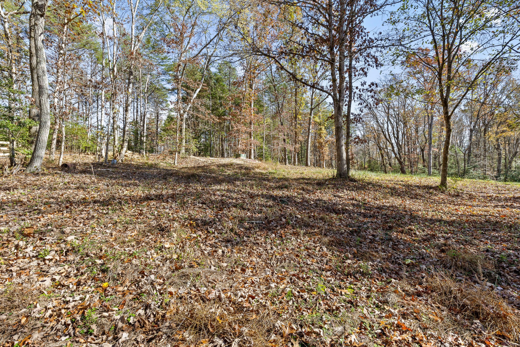 1813 Vandergriff Road Property Photo 22