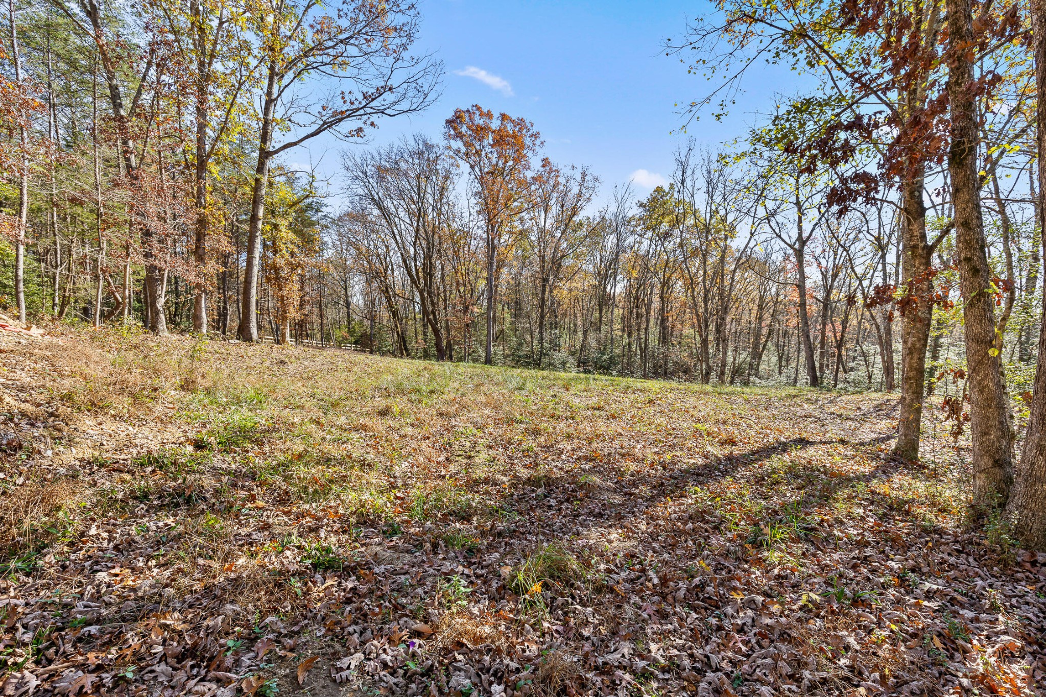 1813 Vandergriff Road Property Photo 23