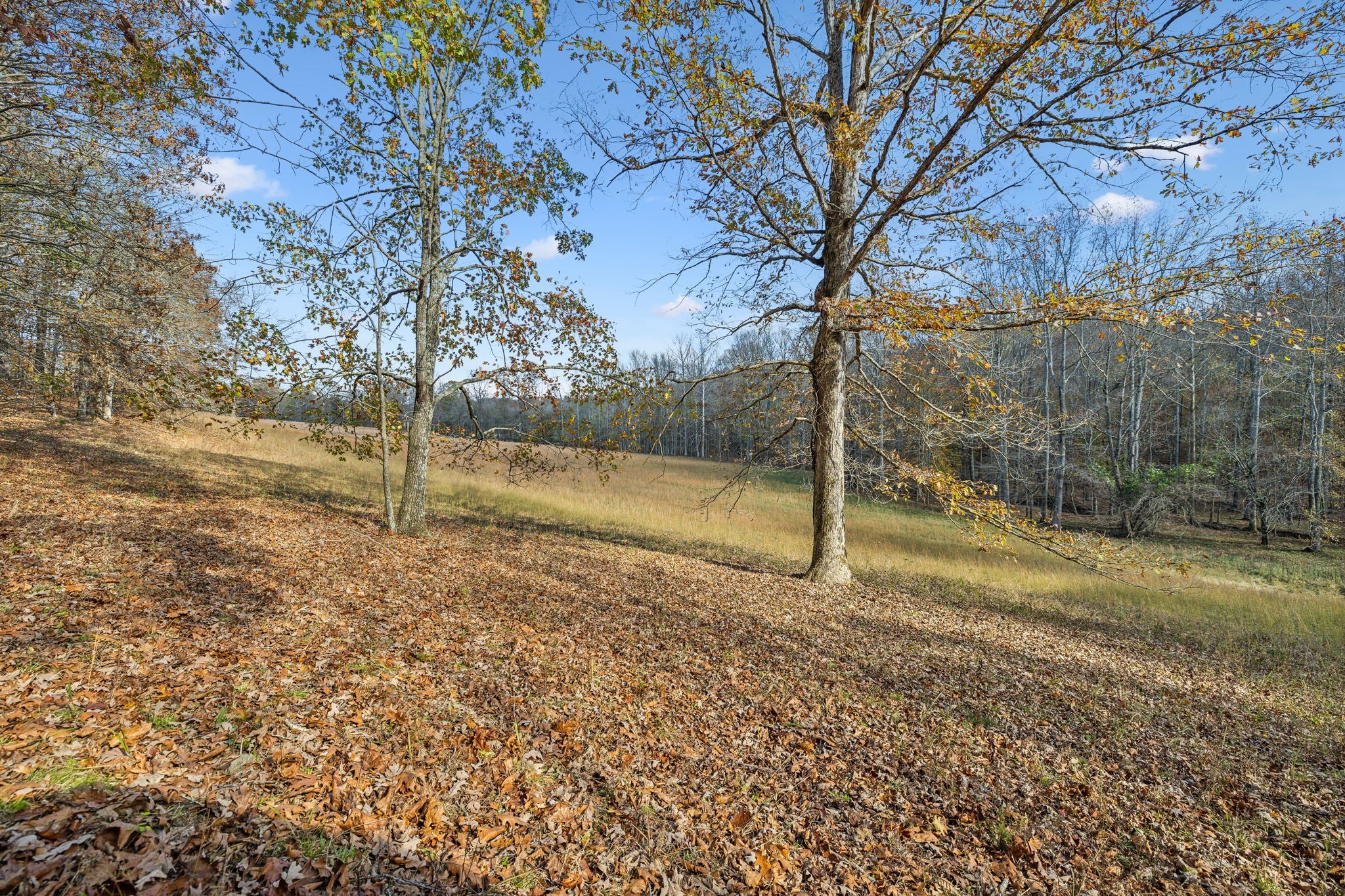 9133 Kersey Rd Property Photo 9