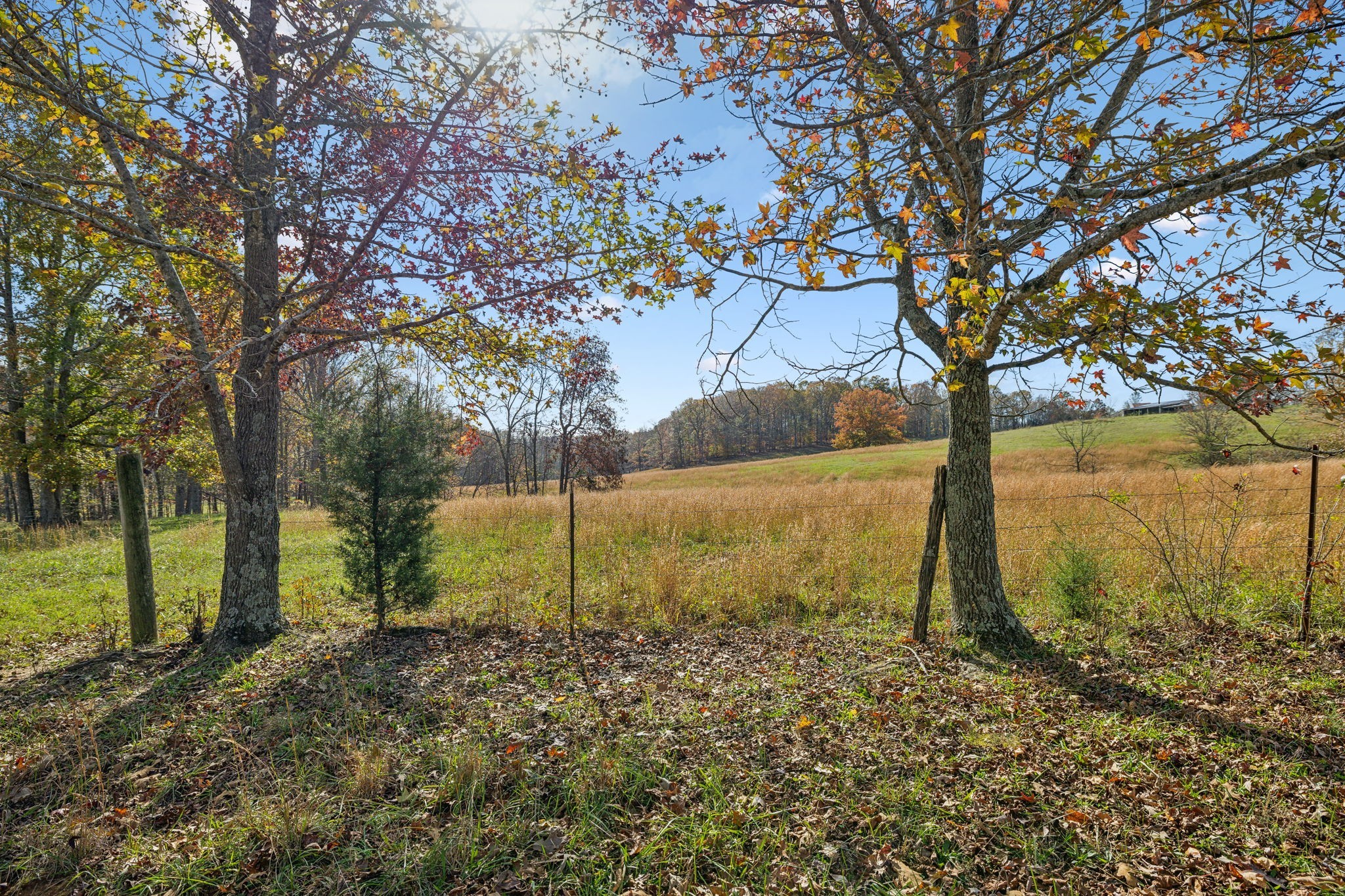 9133 Kersey Rd Property Photo 13
