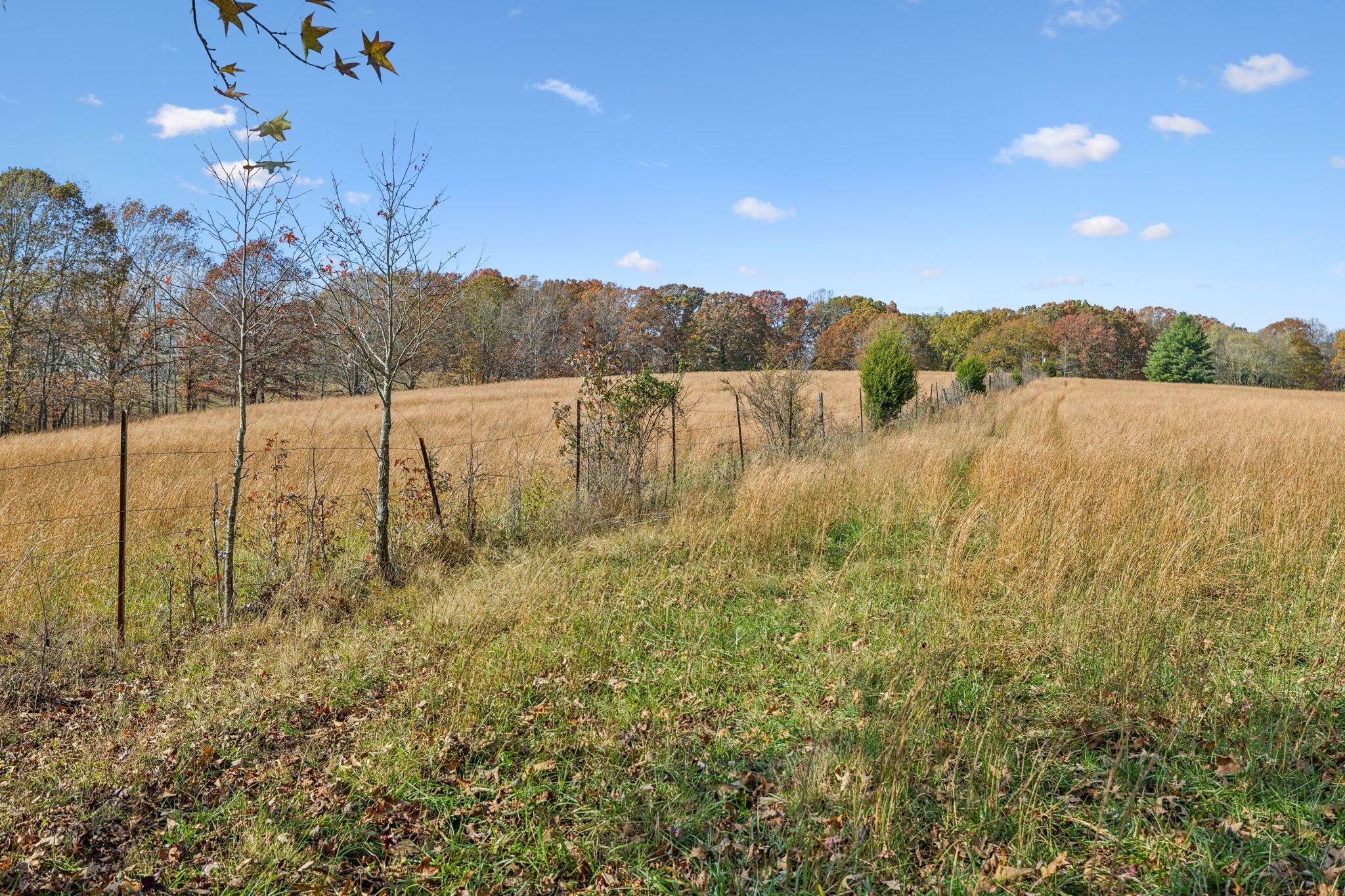 9133 Kersey Rd Property Photo 15