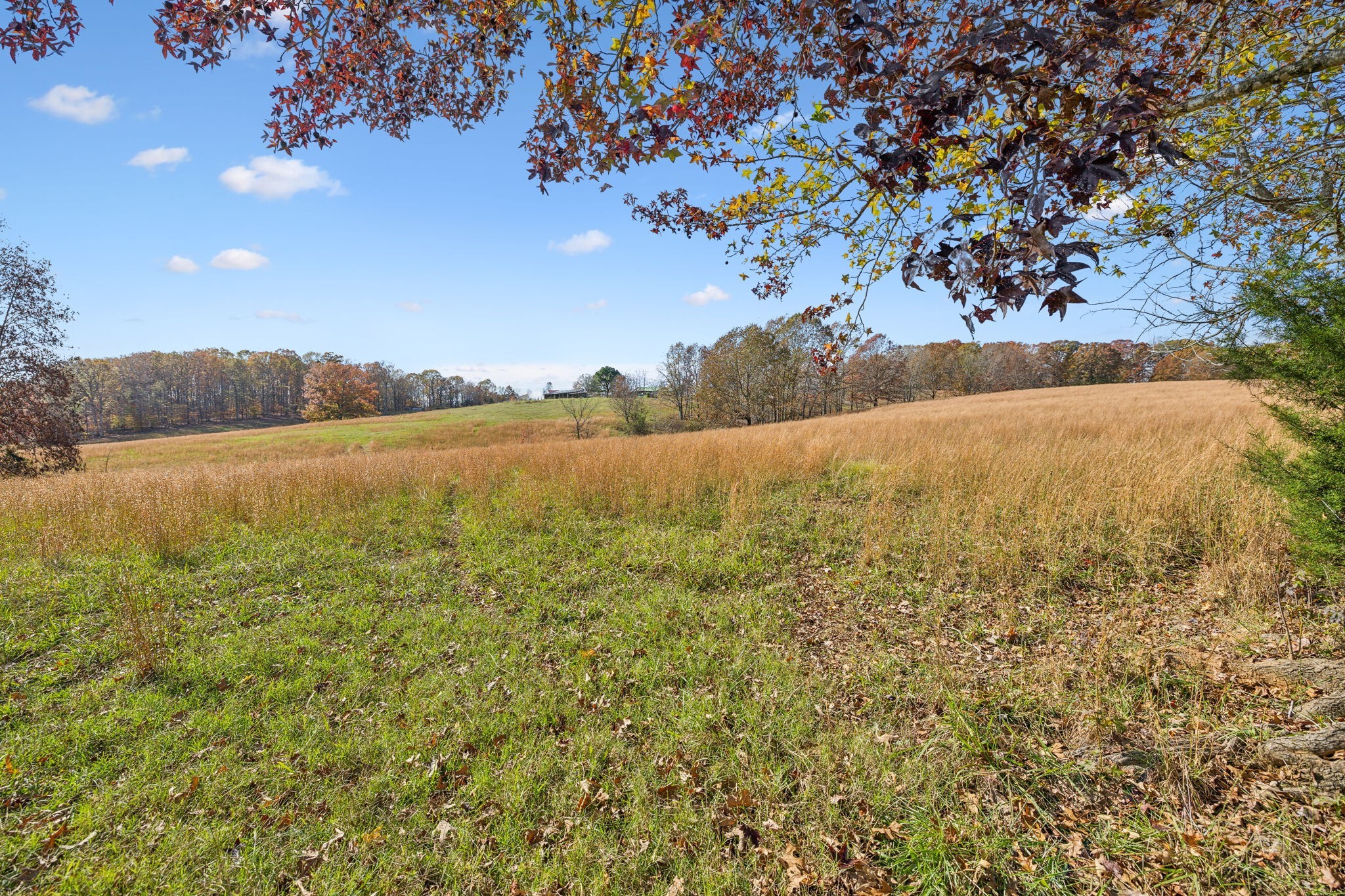 9133 Kersey Rd Property Photo 17