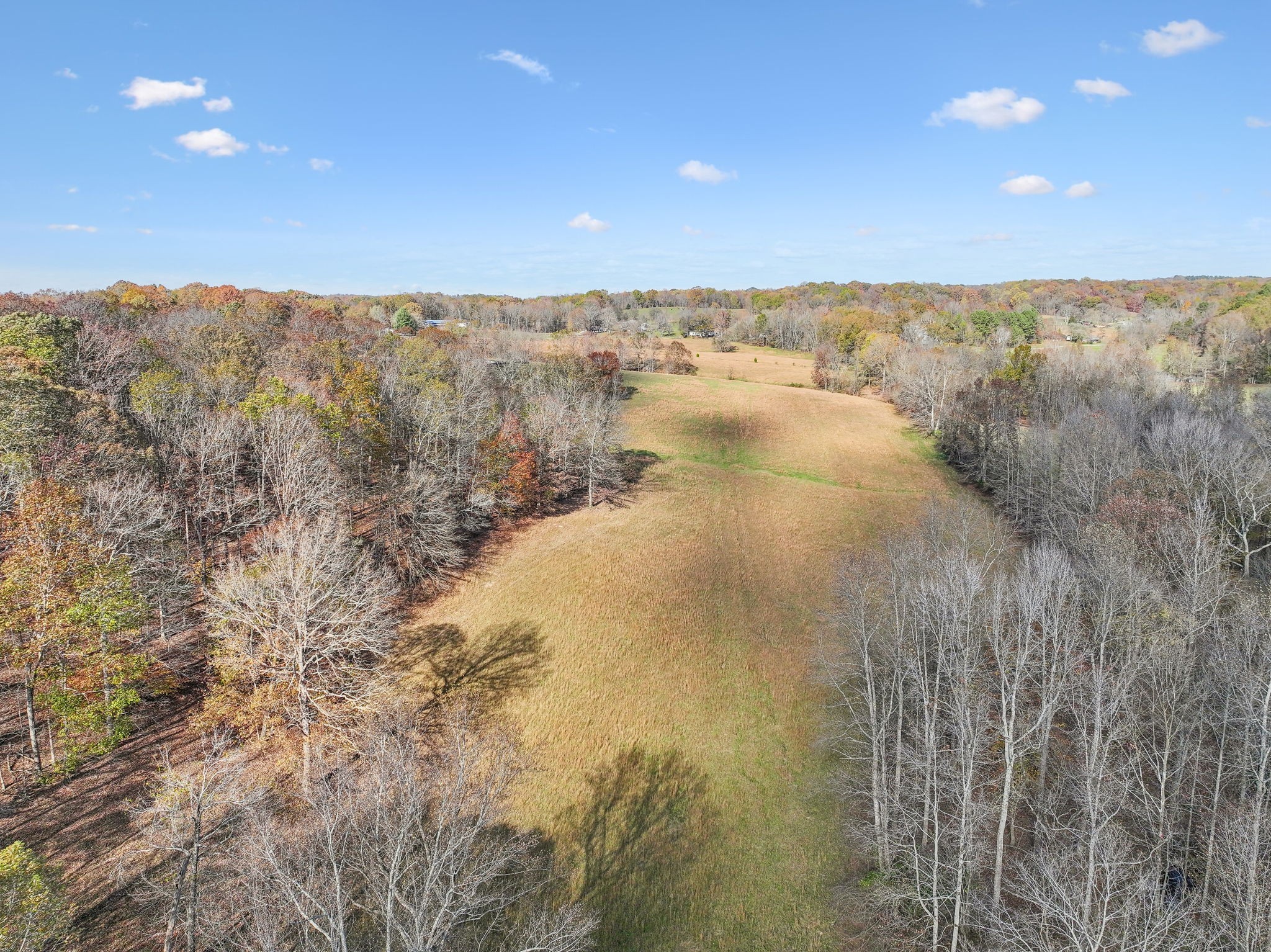 9133 Kersey Rd Property Photo 18