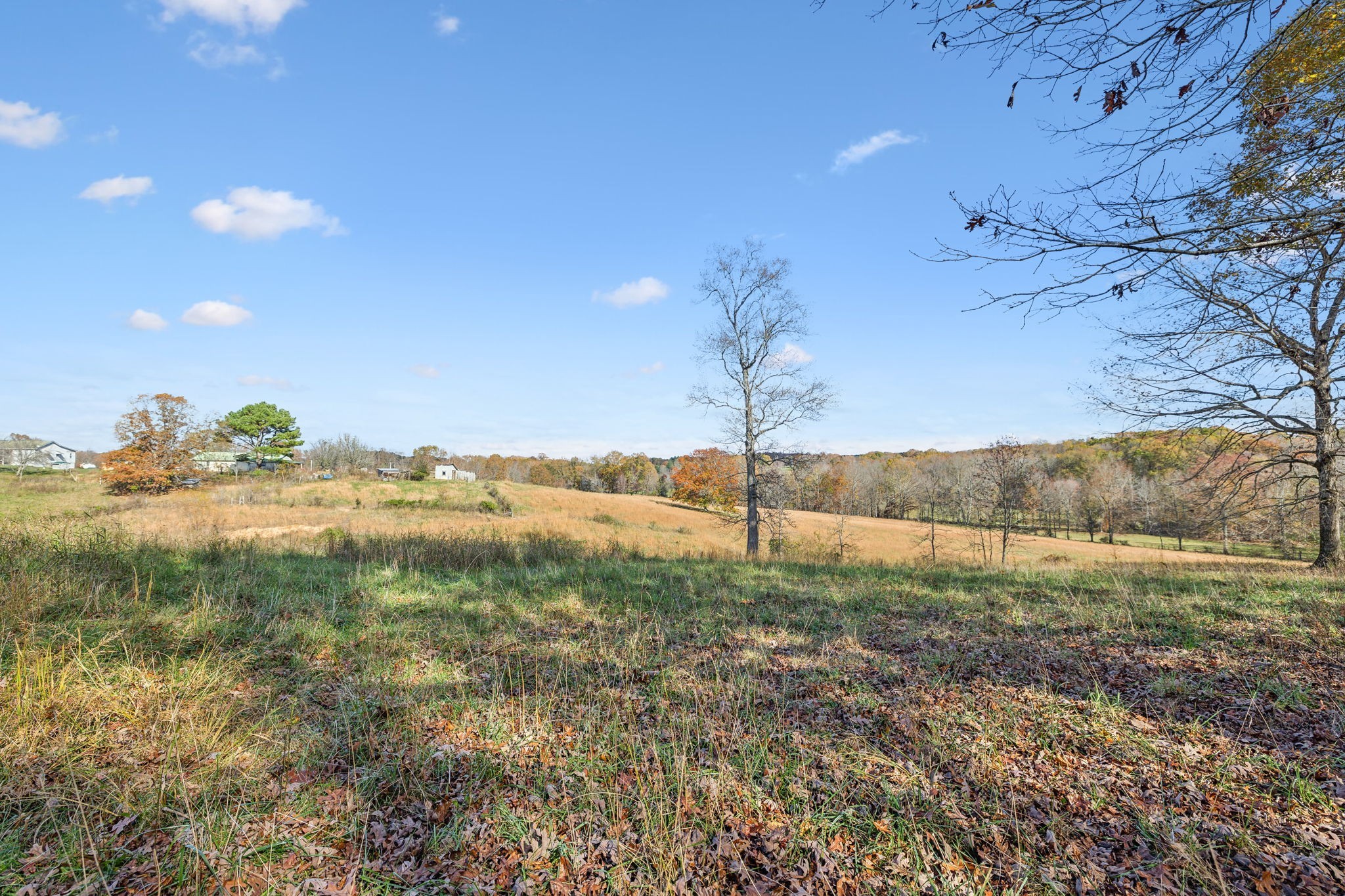 9133 Kersey Rd Property Photo 20
