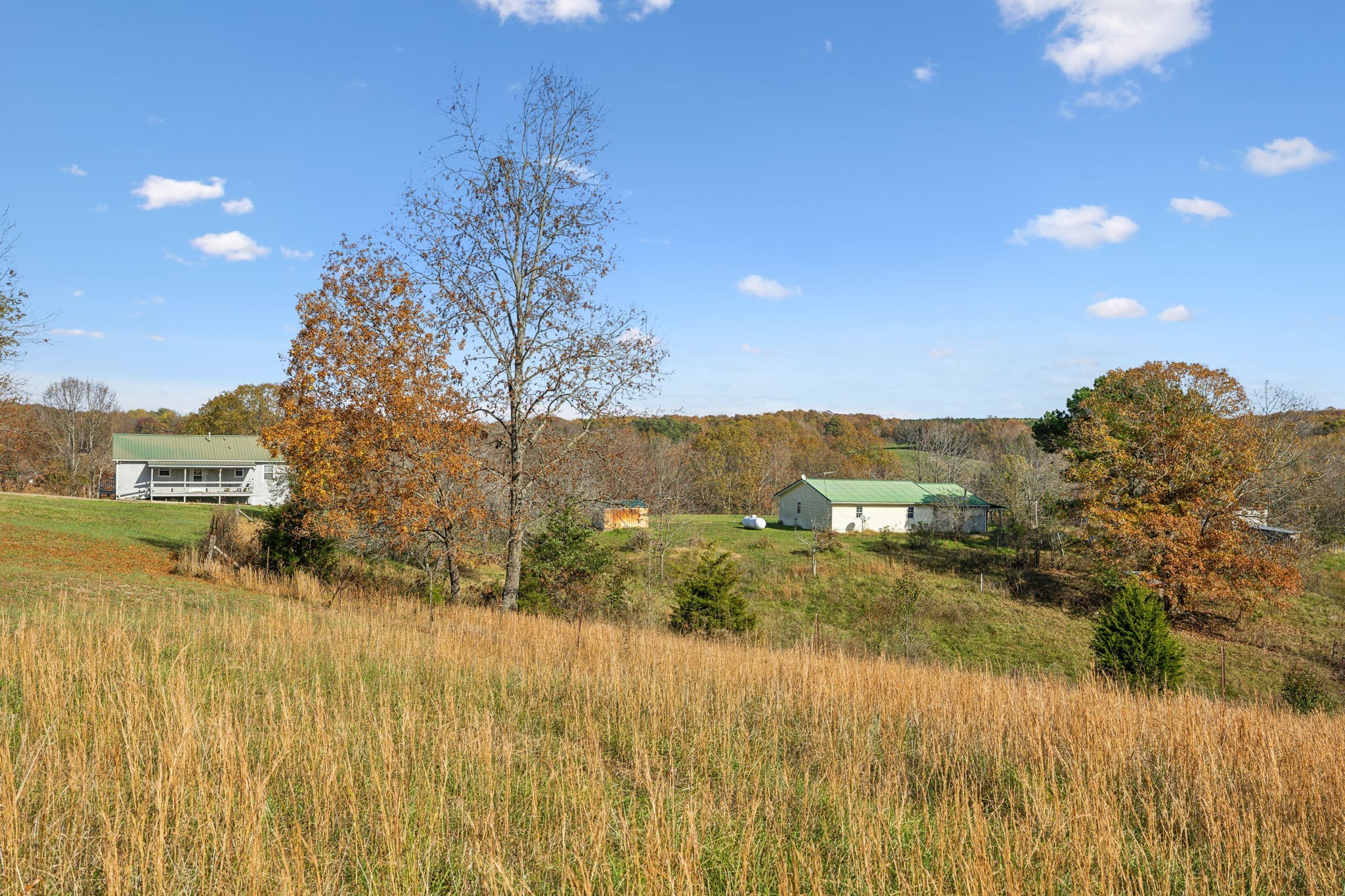 9133 Kersey Rd Property Photo 21