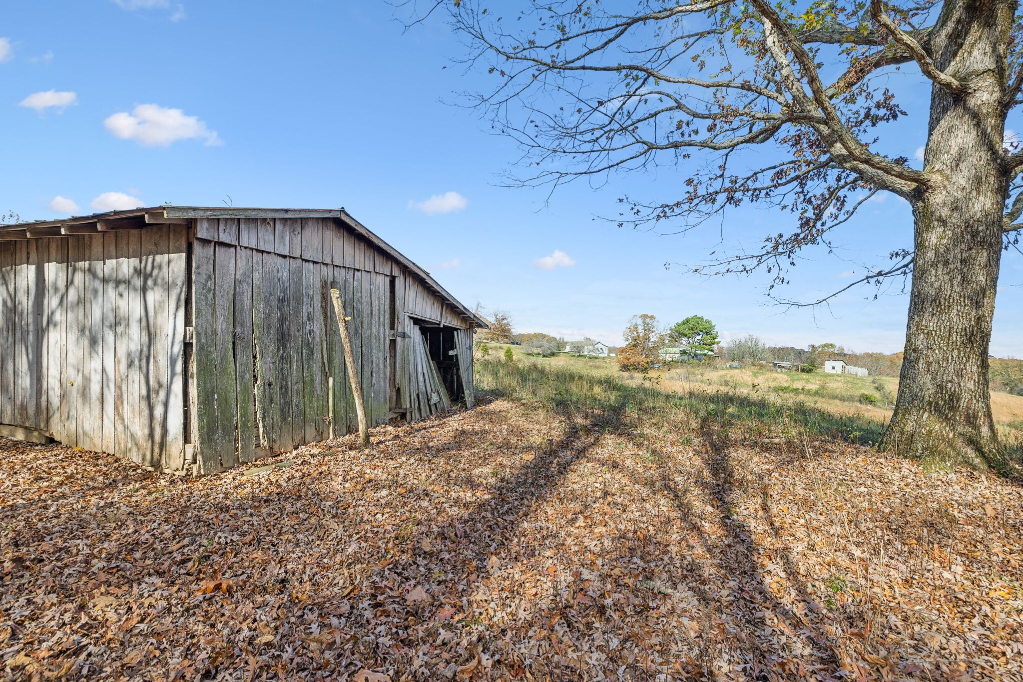 9133 Kersey Rd Property Photo 56