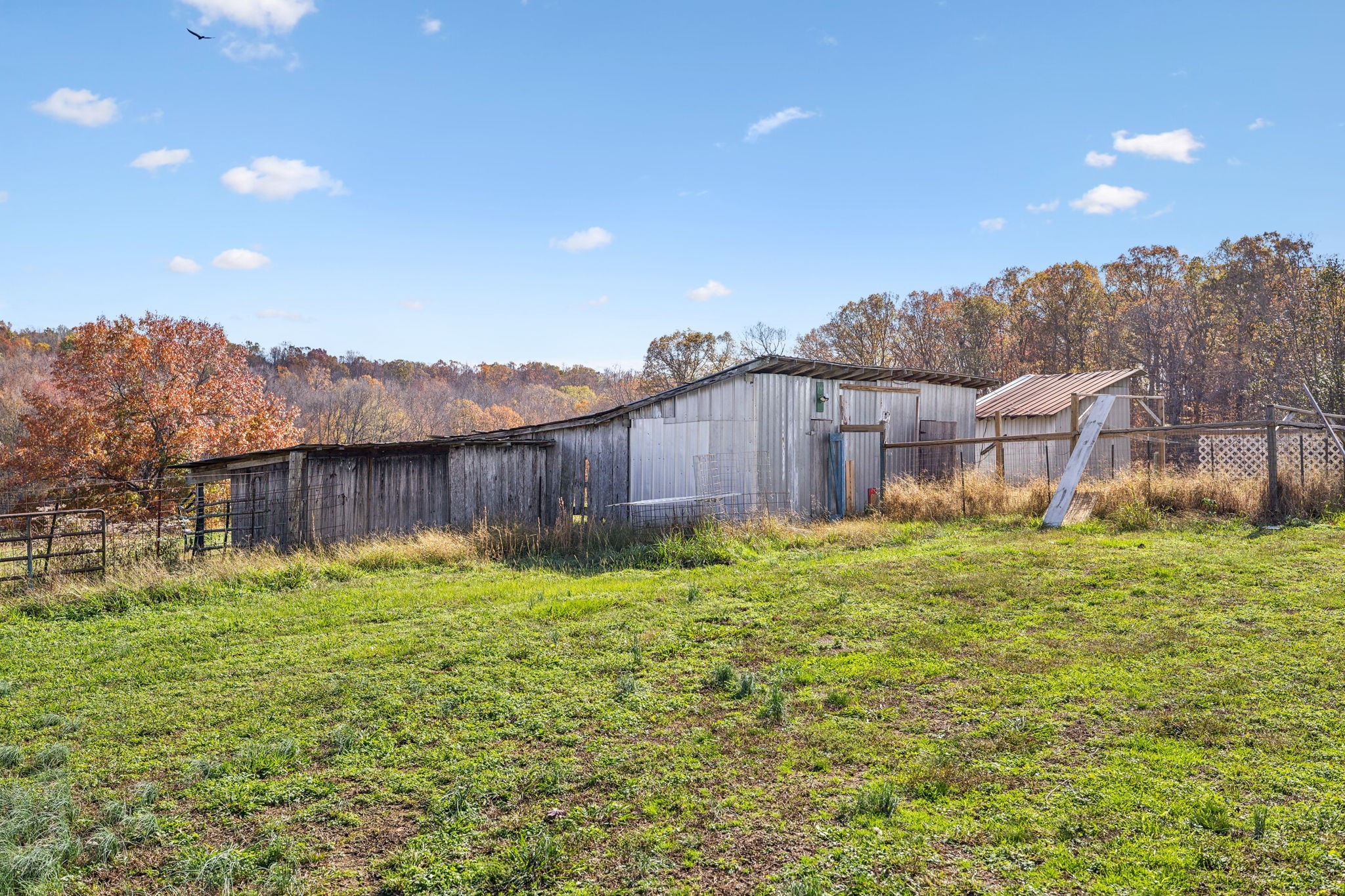 9133 Kersey Rd Property Photo 58