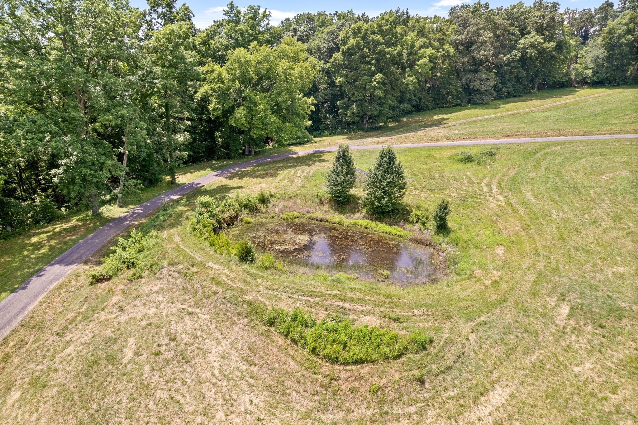 3575 Blooming Grove Rd Property Photo 46