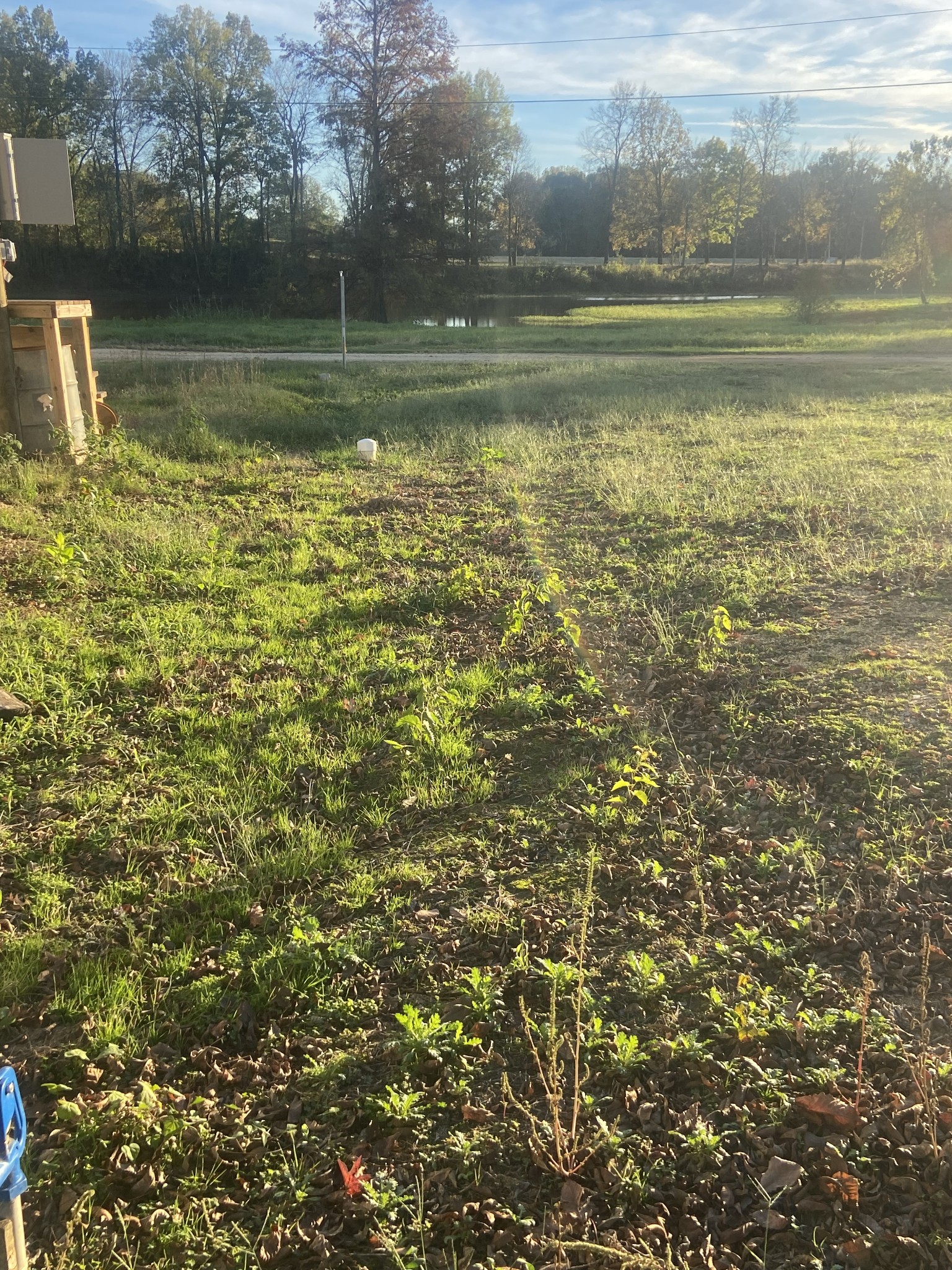 735 Praire Land Dr Property Photo 23