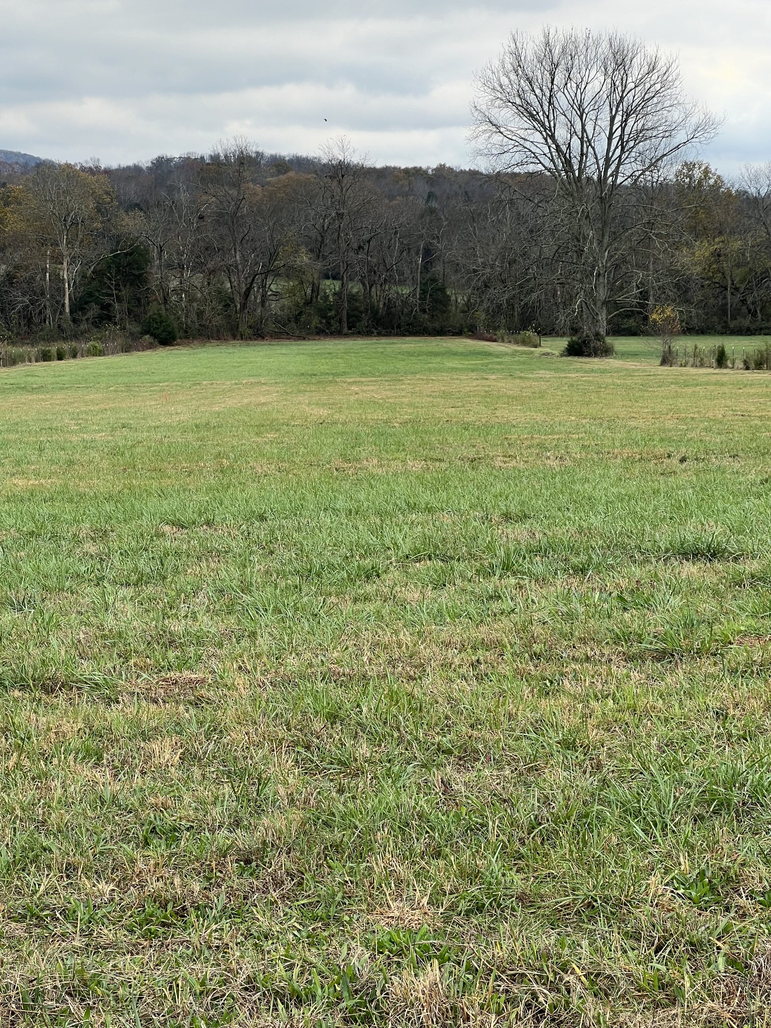 0 Lebanon Hwy Property Photo 3