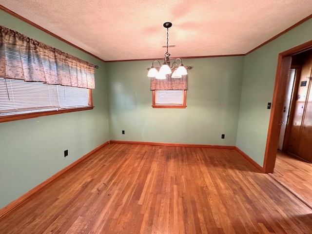 223 Forrest Ave Property Photo 3