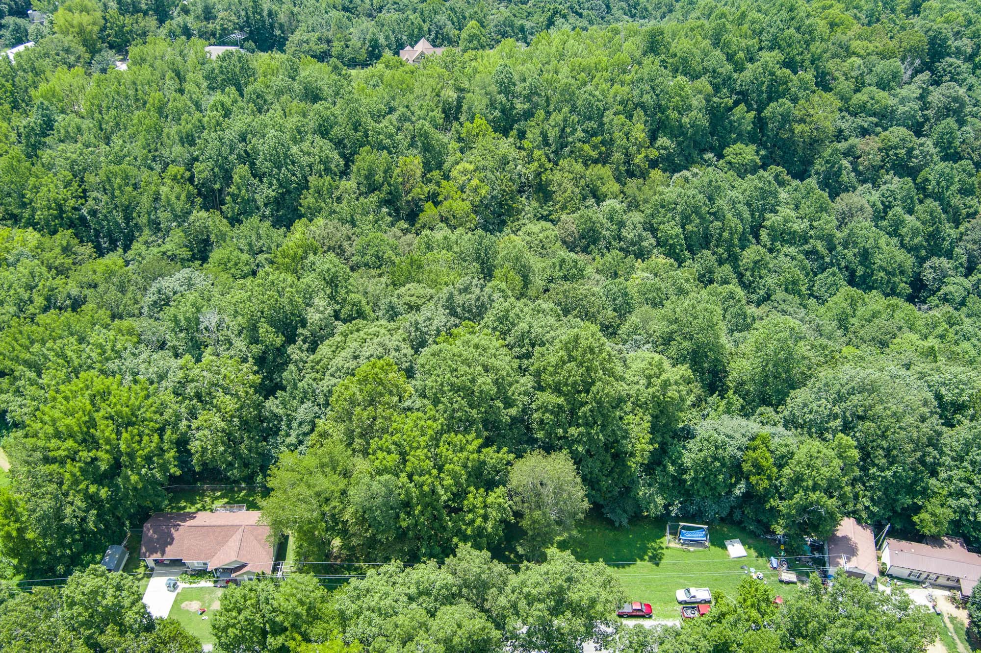 0 Austin Lake Road Property Photo 6
